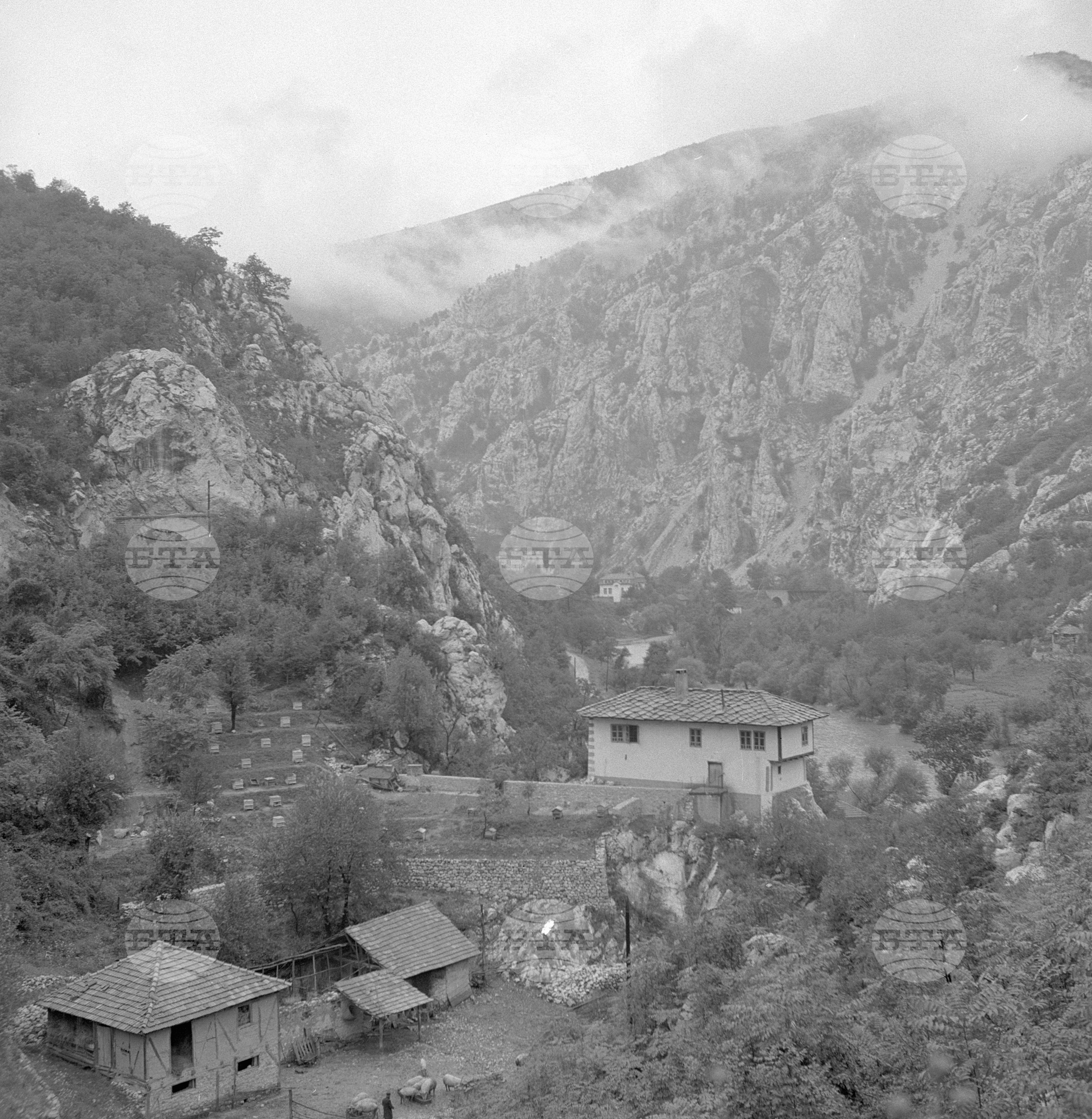 При овчарите от село Руска Бела - Врачанско