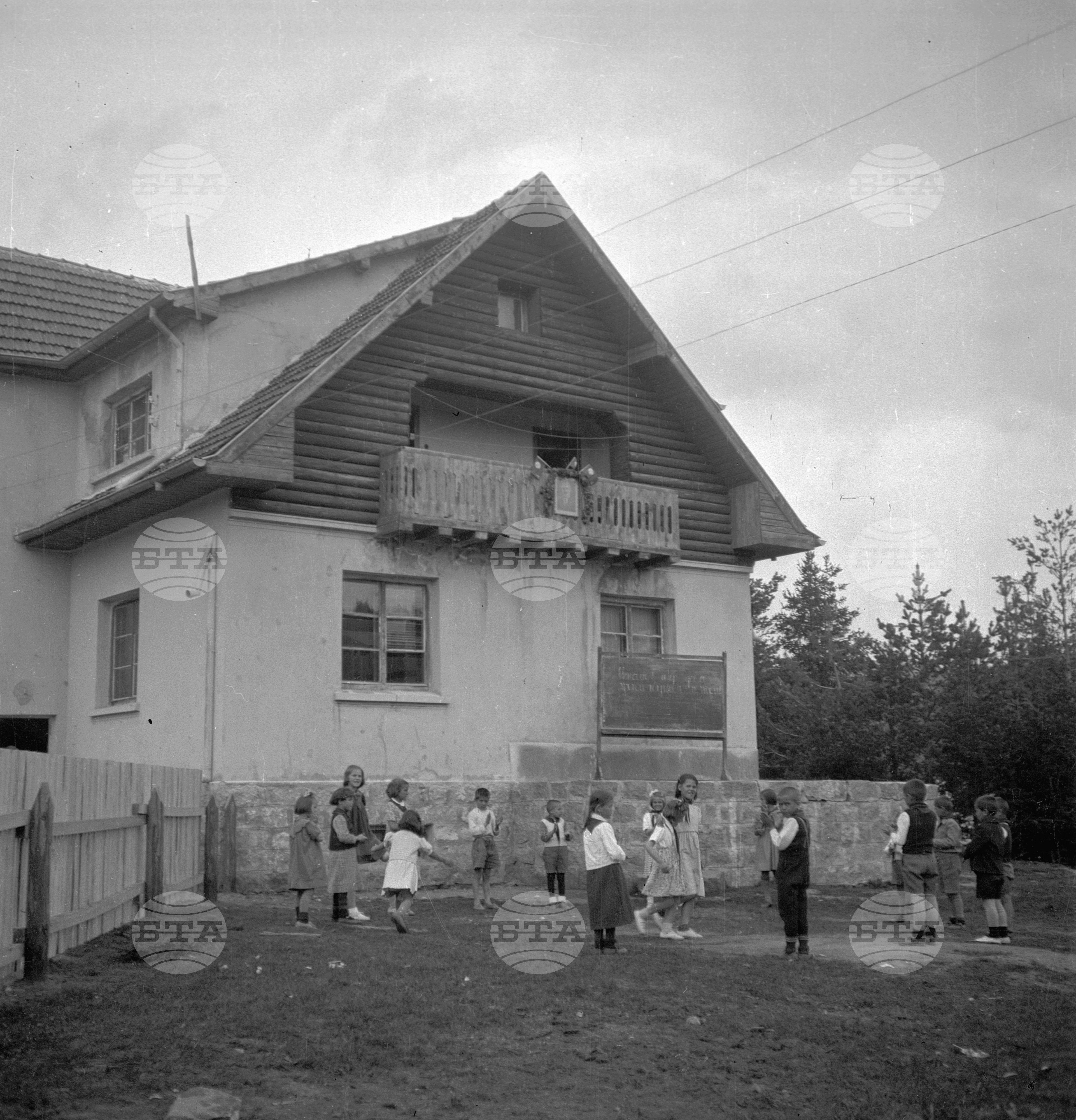 Дърводобив в държавни горски стопанства, 1951 - част 8