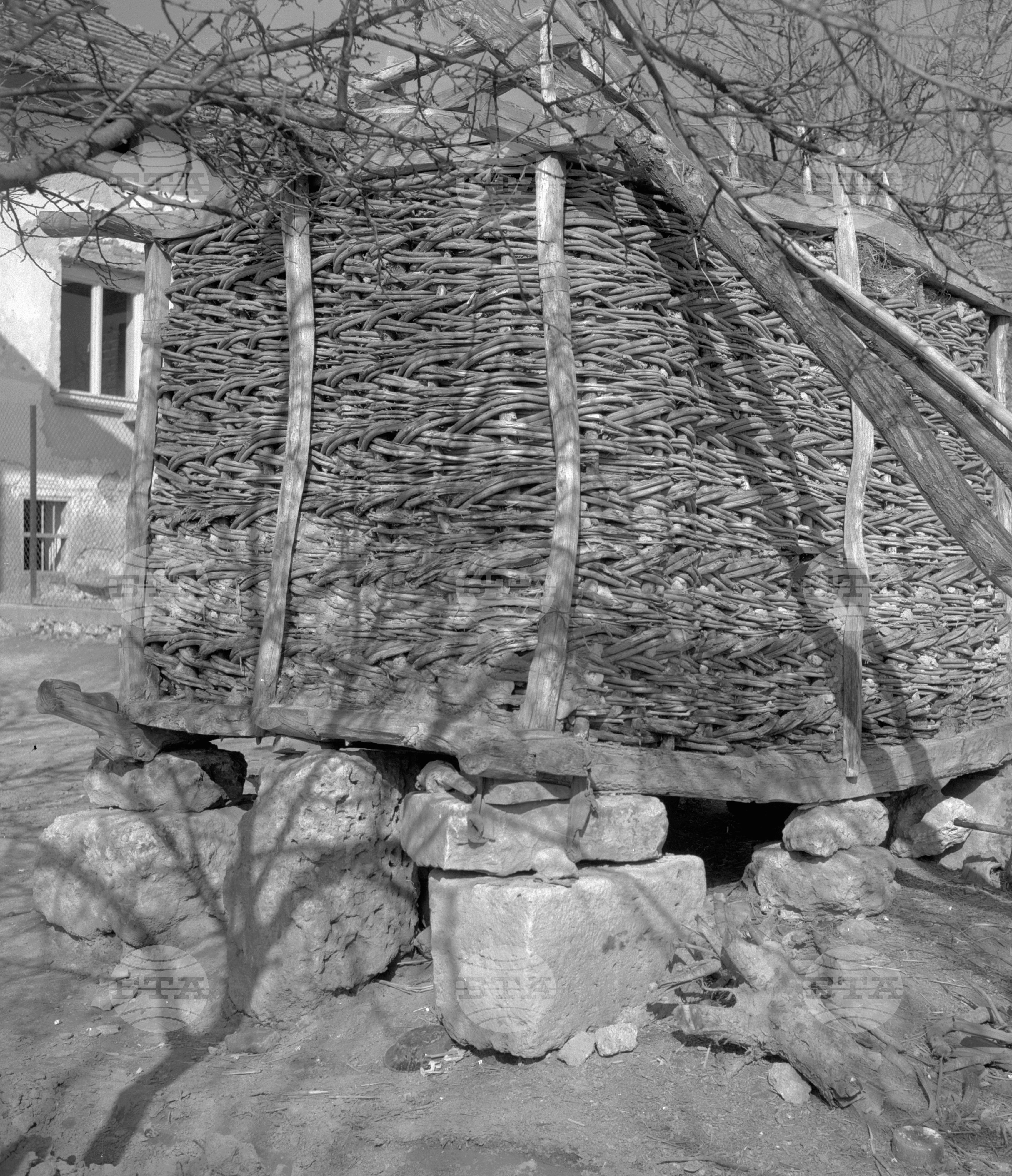 Археологически разкопки при с. Гиген, Плевенски окръг