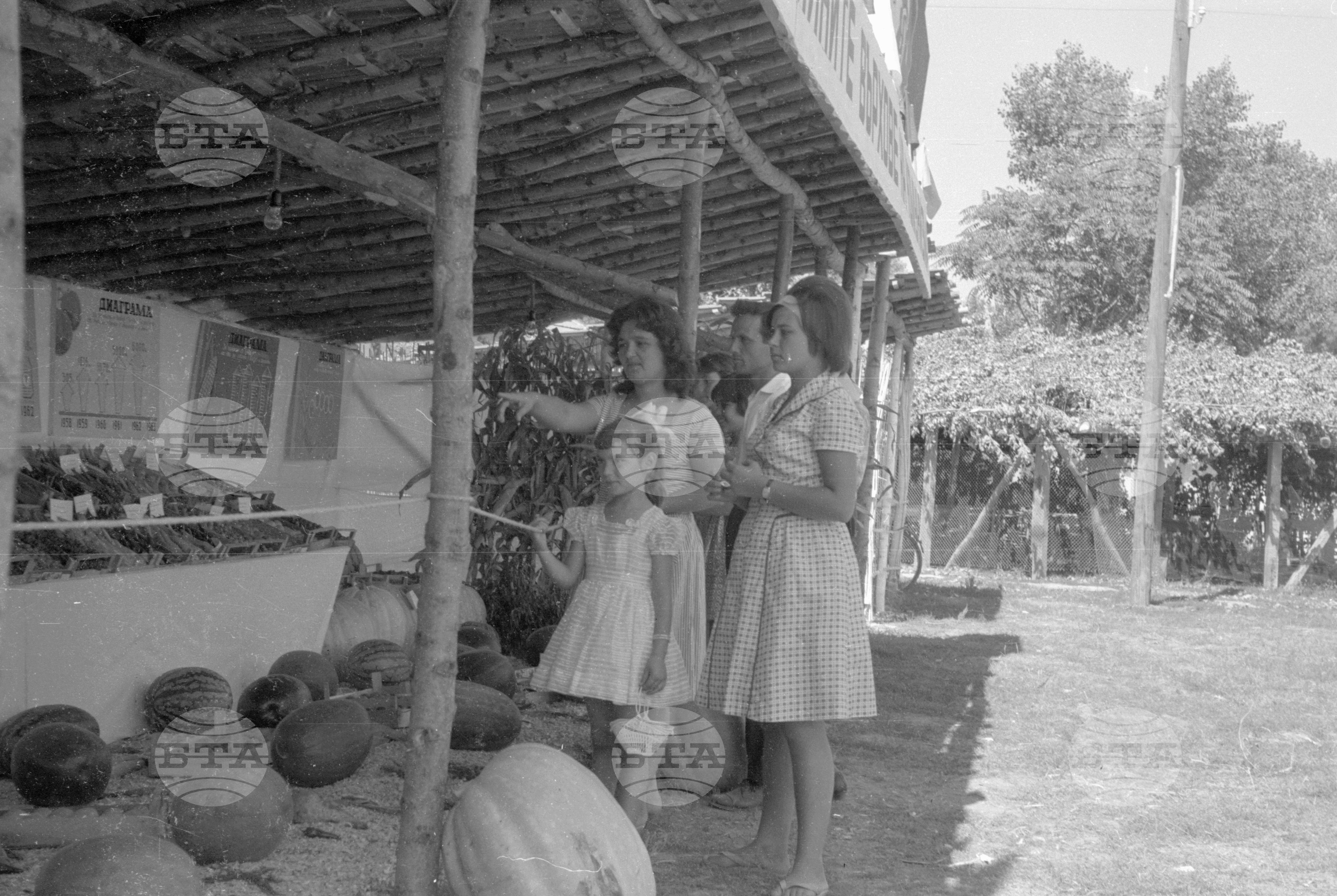 Из Видински окръг 1963 година