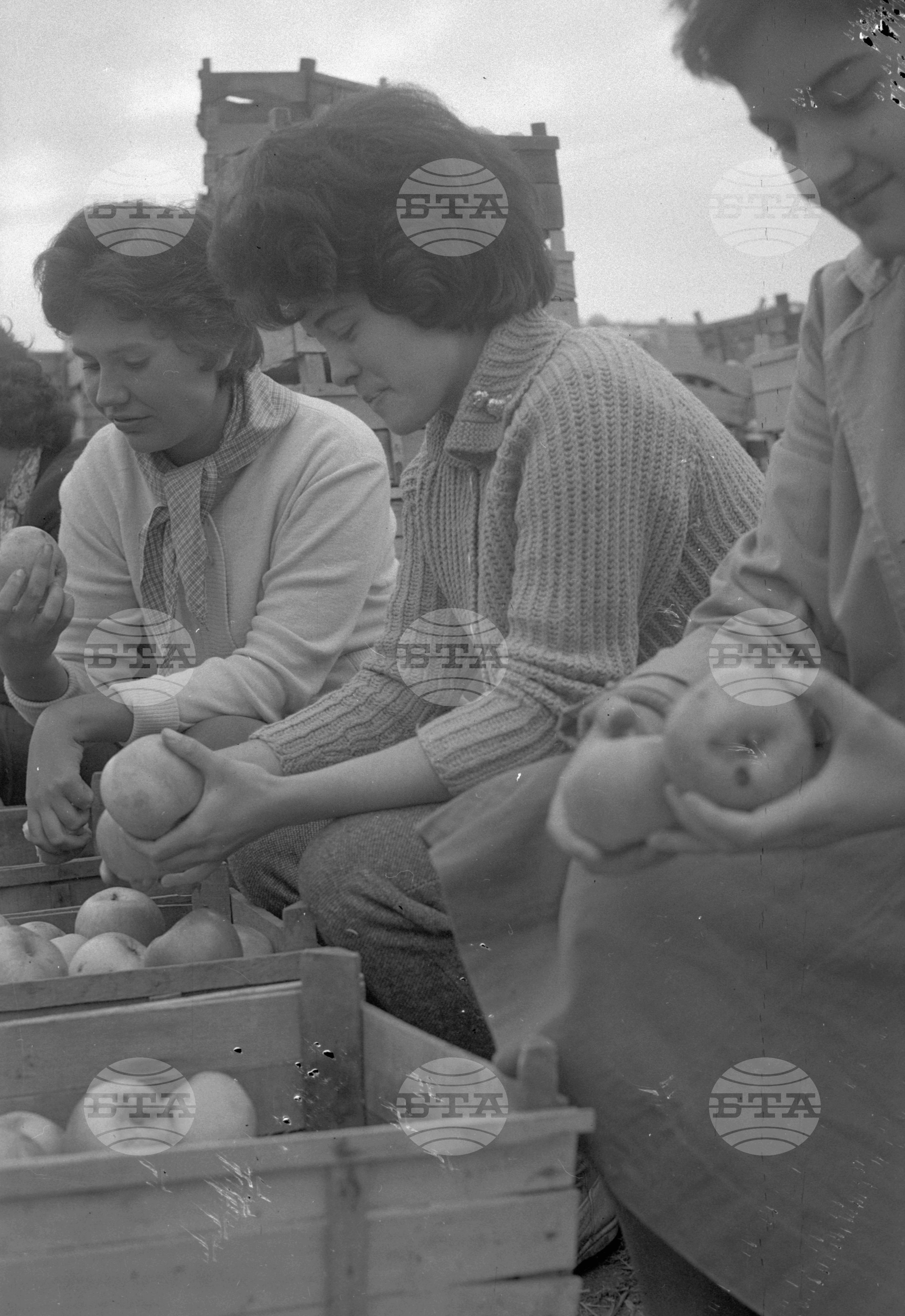 Из Кюстендилски окръг - септември 1962 година