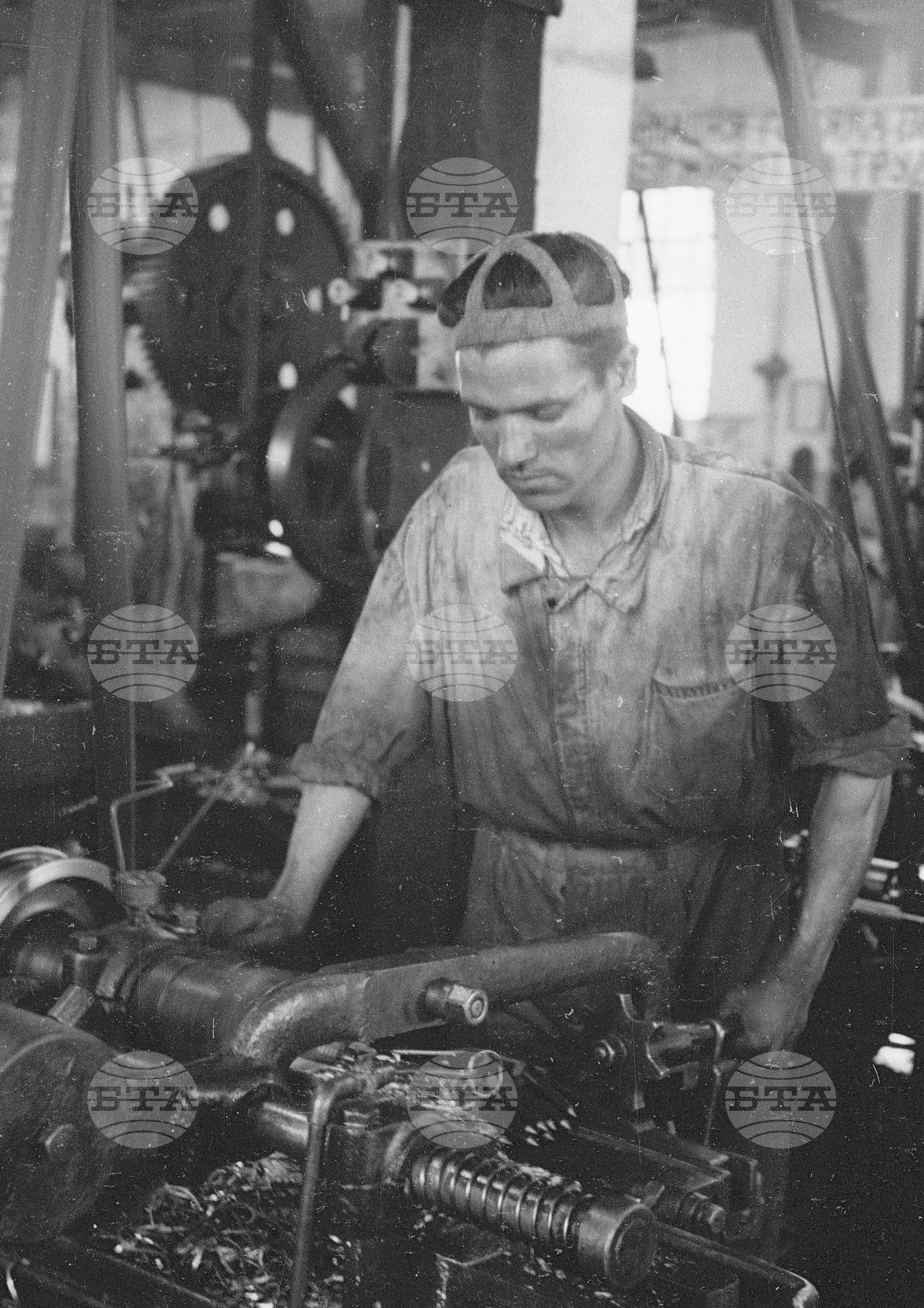 Архив - Българска телеграфна агенция (БТА), 1951