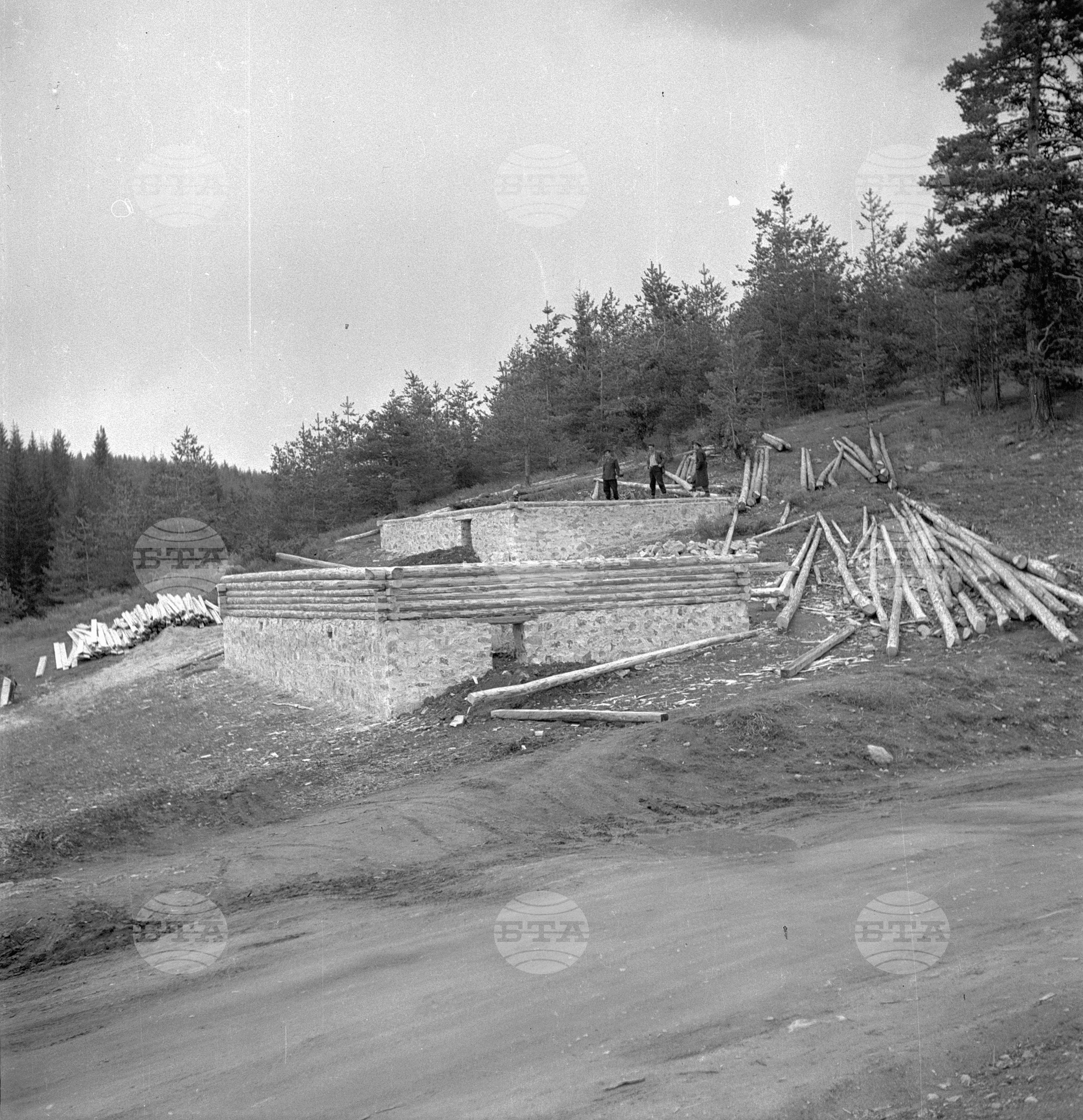 Дърводобив в държавни горски стопанства, 1951 - част 4