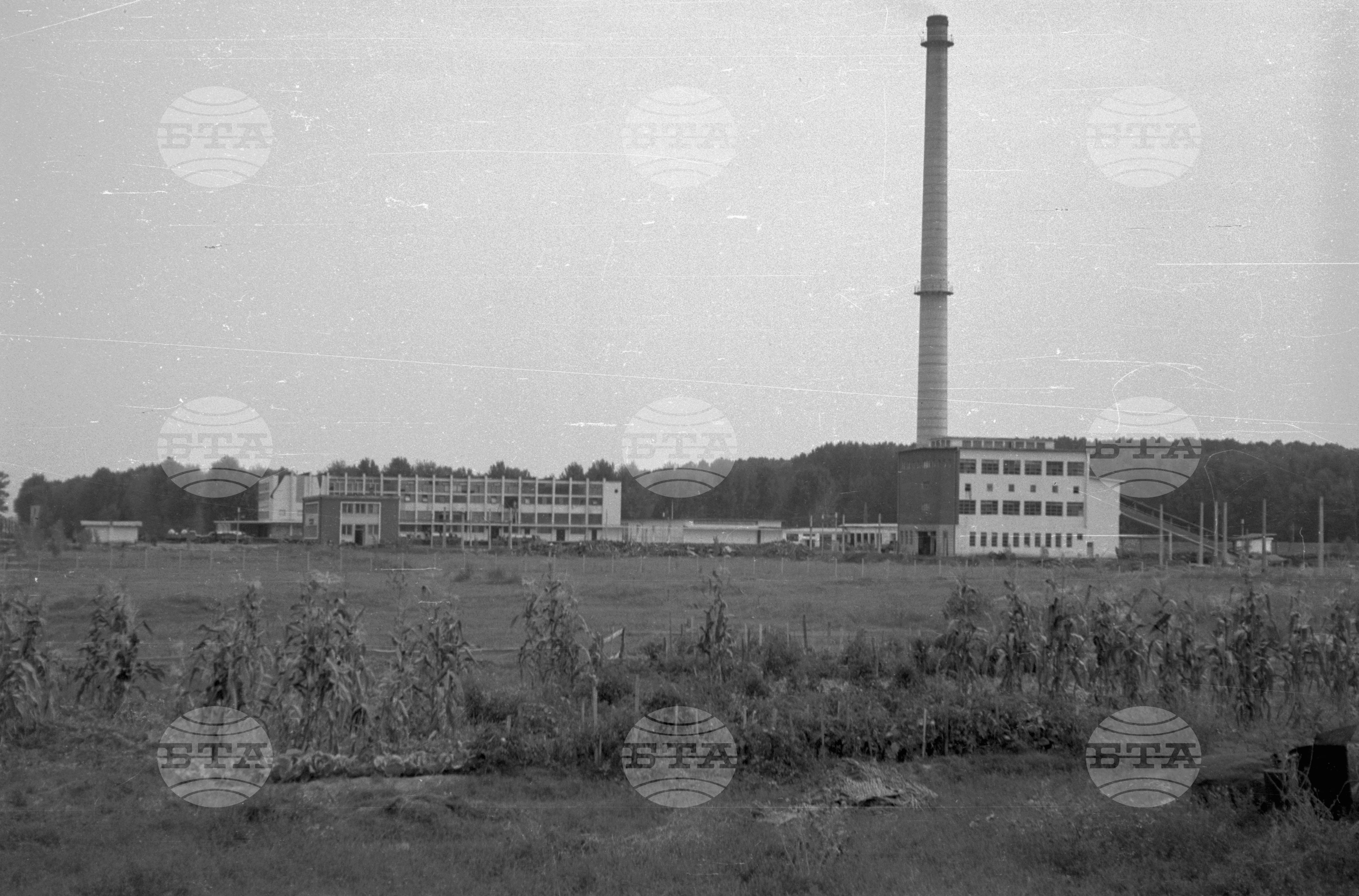 Из Видински окръг 1963 година