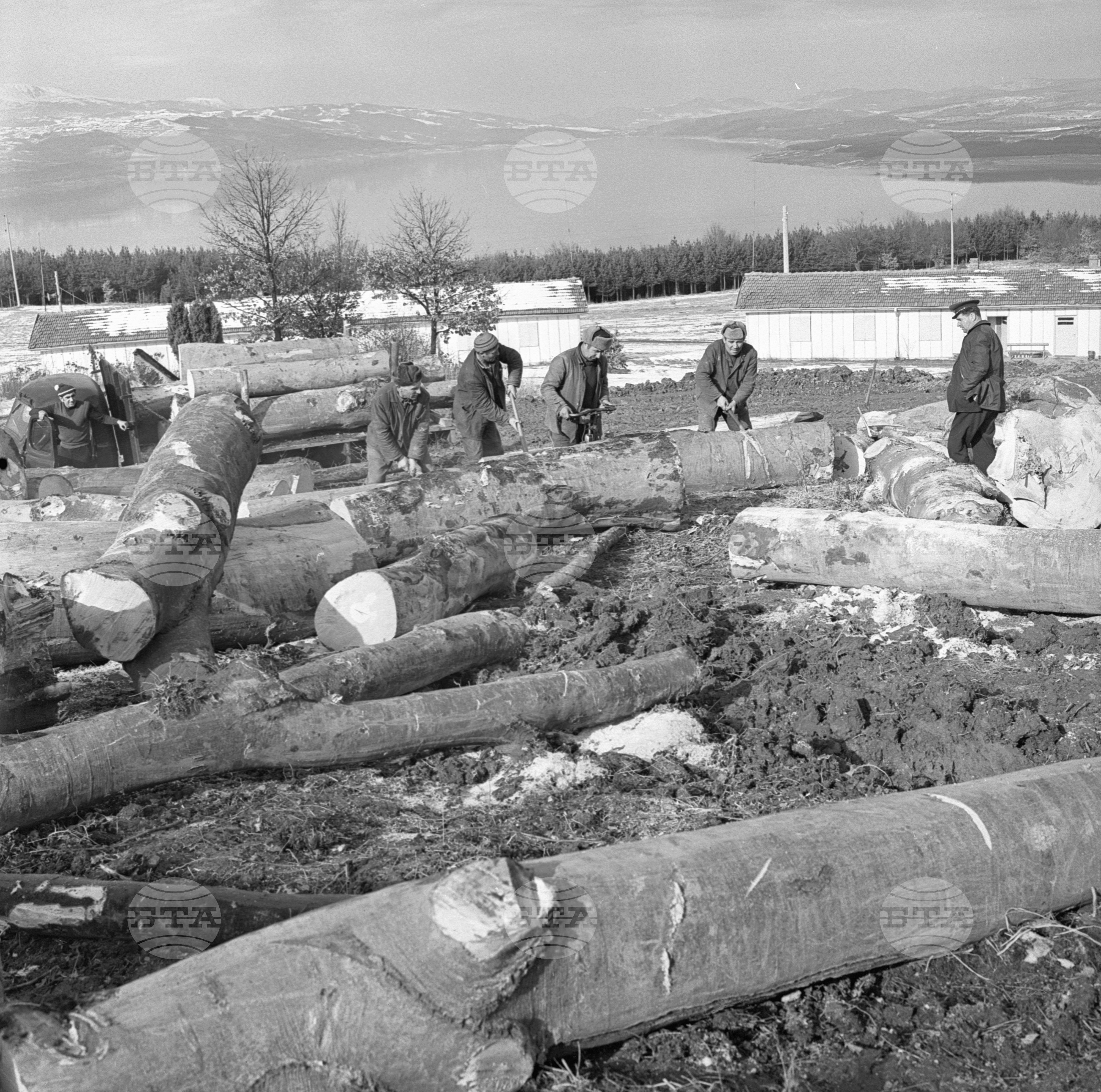 Горско стопанство в град Самоков - 1972 година