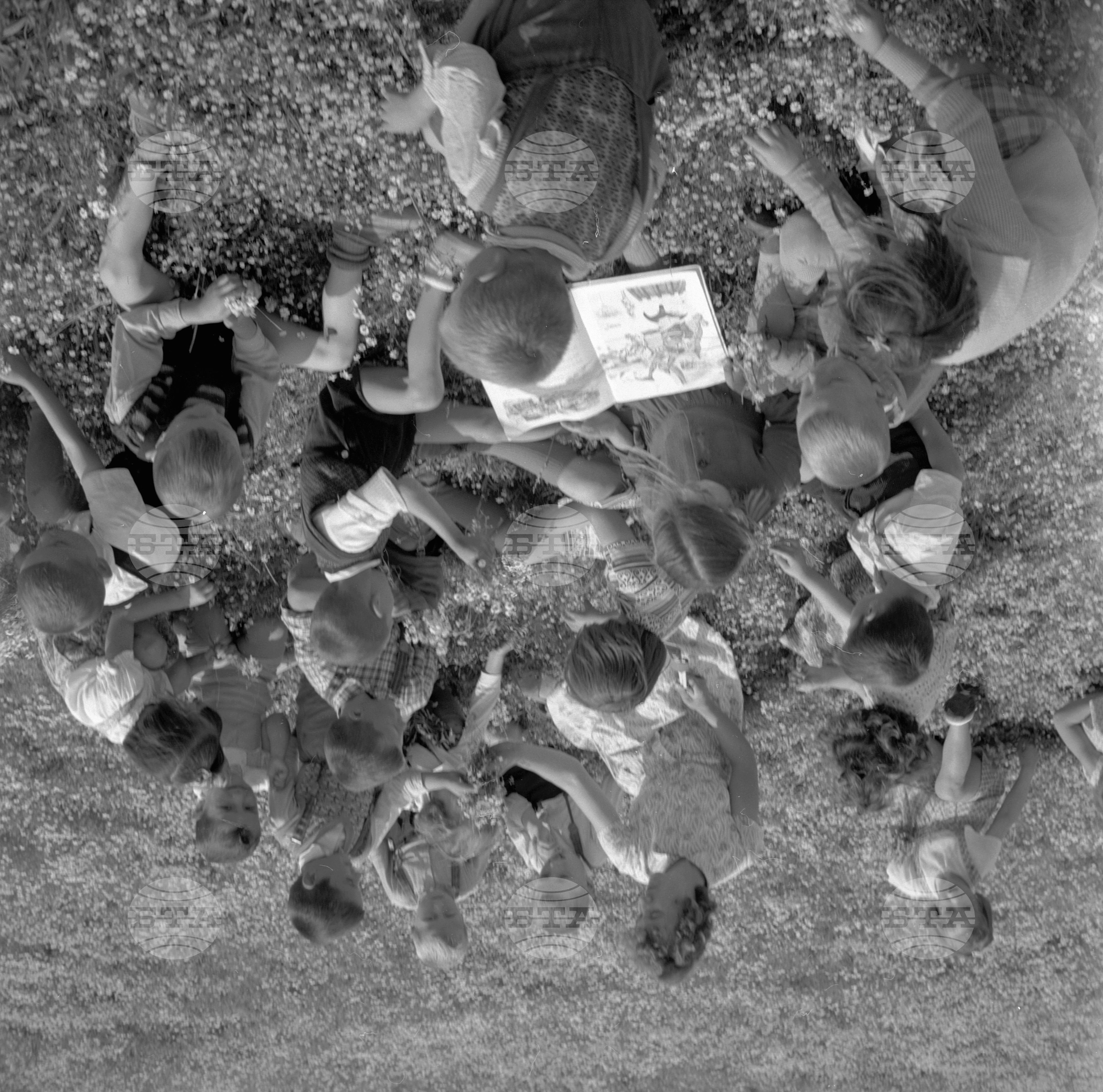 Из Пазарджишки окръг - 1963