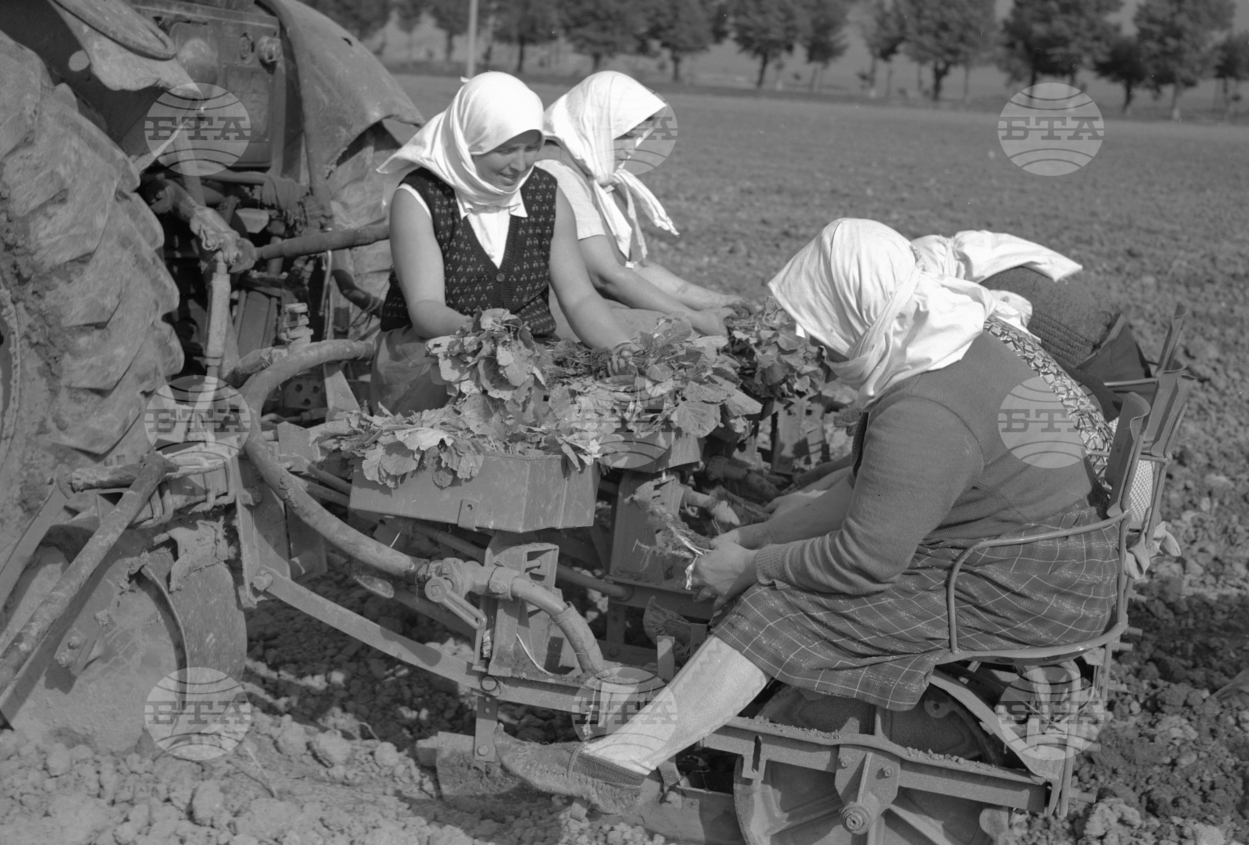 Техника в помощ на селското стопанство - 1963