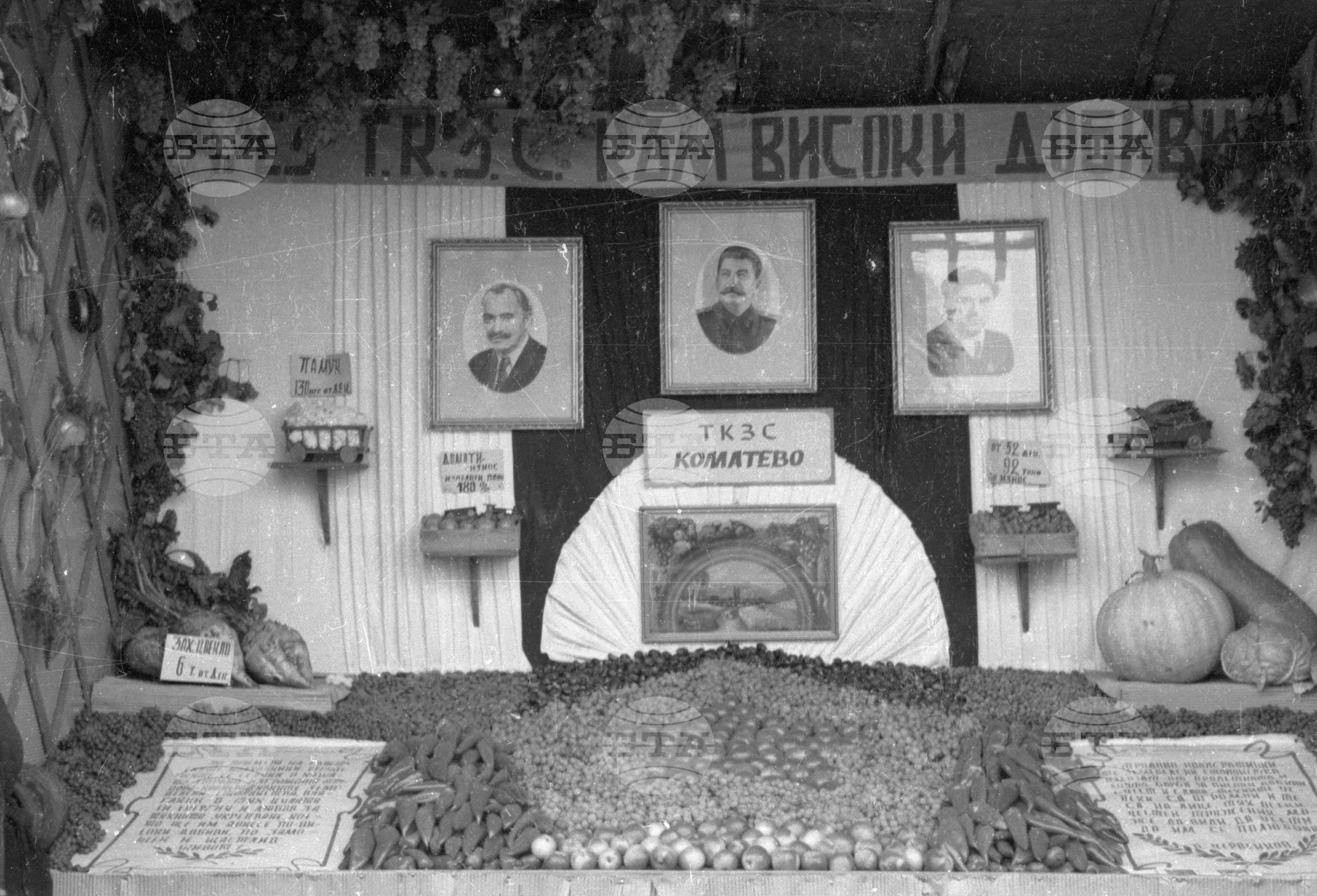 Селскостопанска изложба в Левскиград (дн. Карлово), 1951