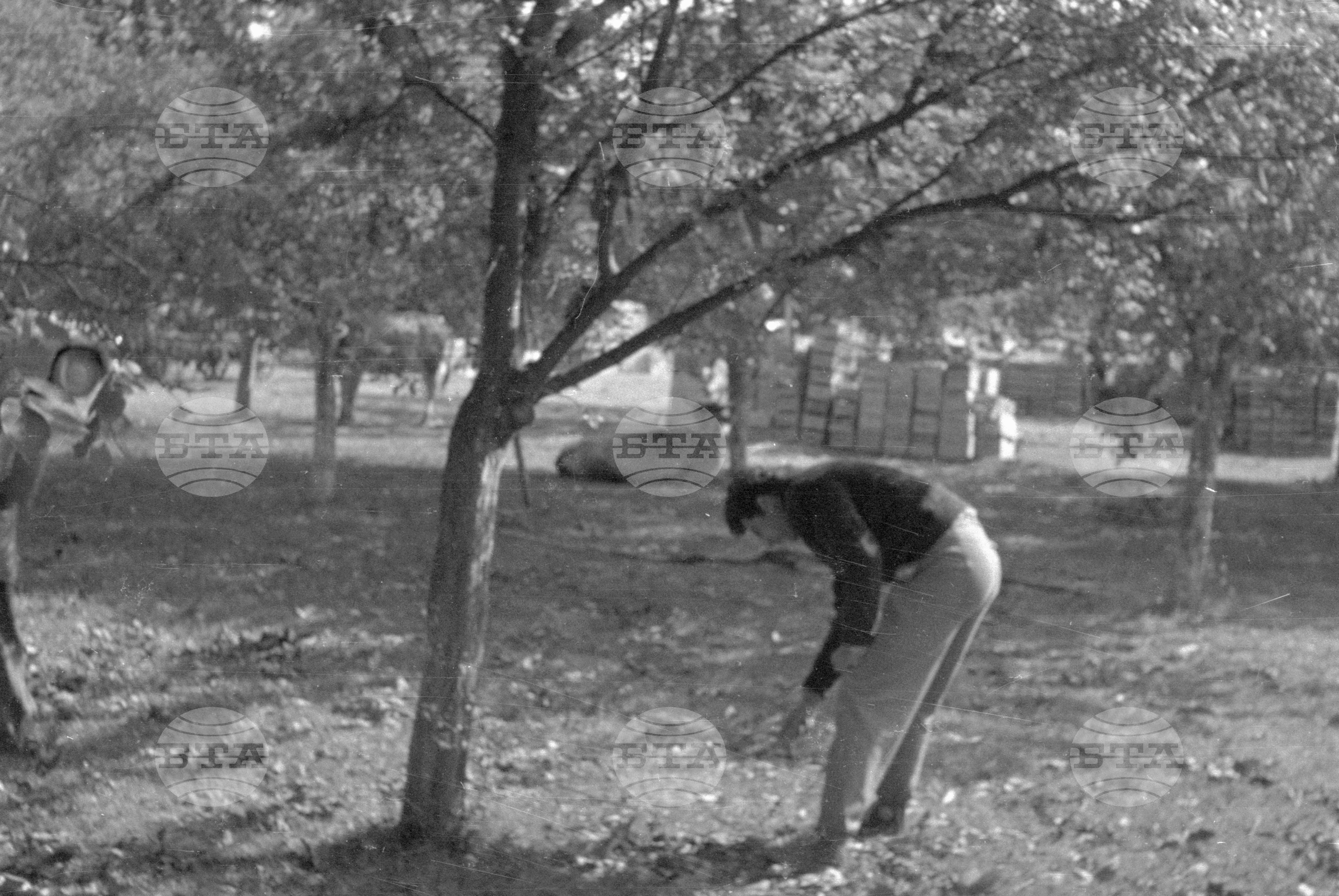 Из Кюстендилски окръг - септември 1962 година