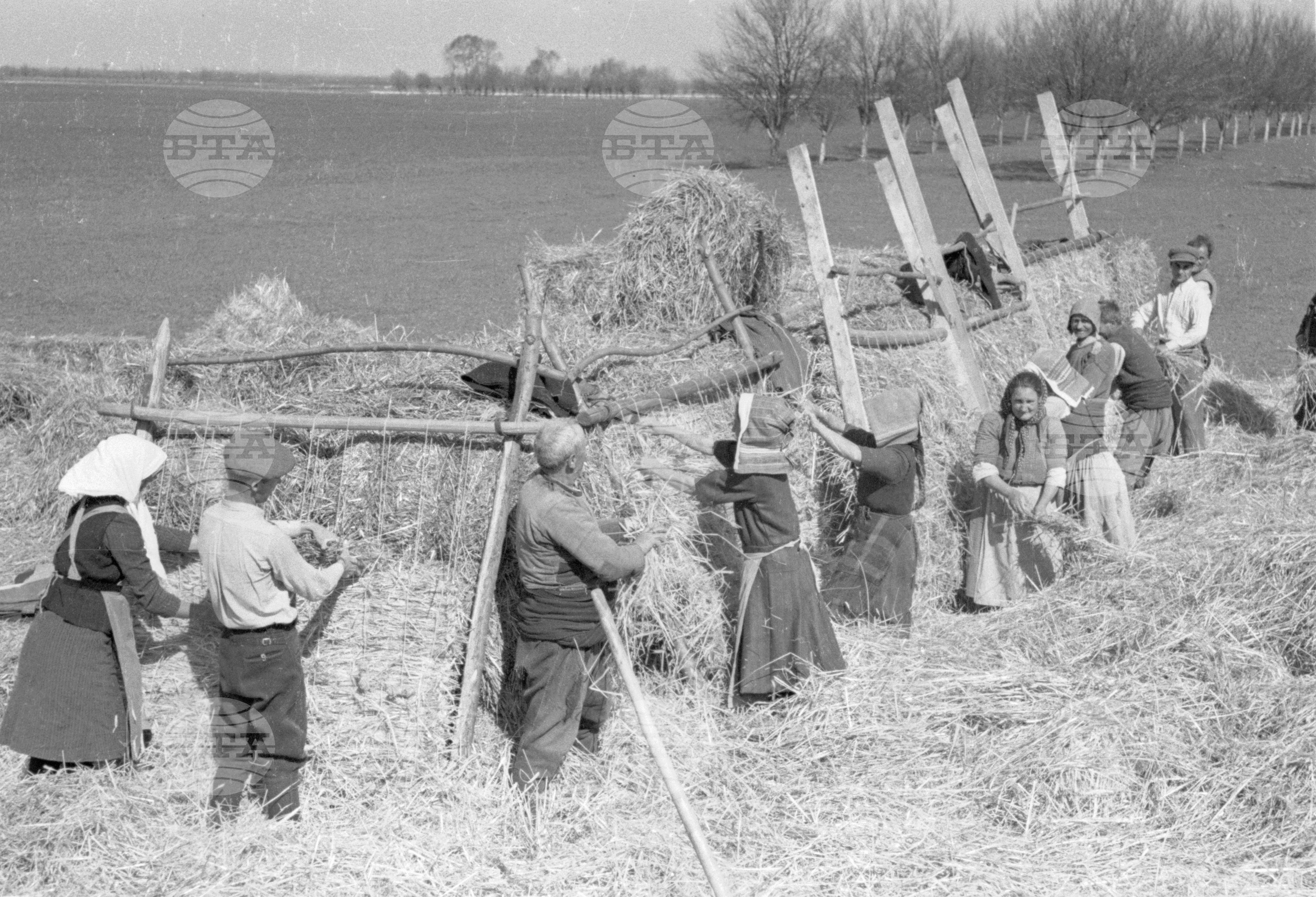 Трудово кооперативното земеделско стопанство (ТКЗС) Караджово, 1951