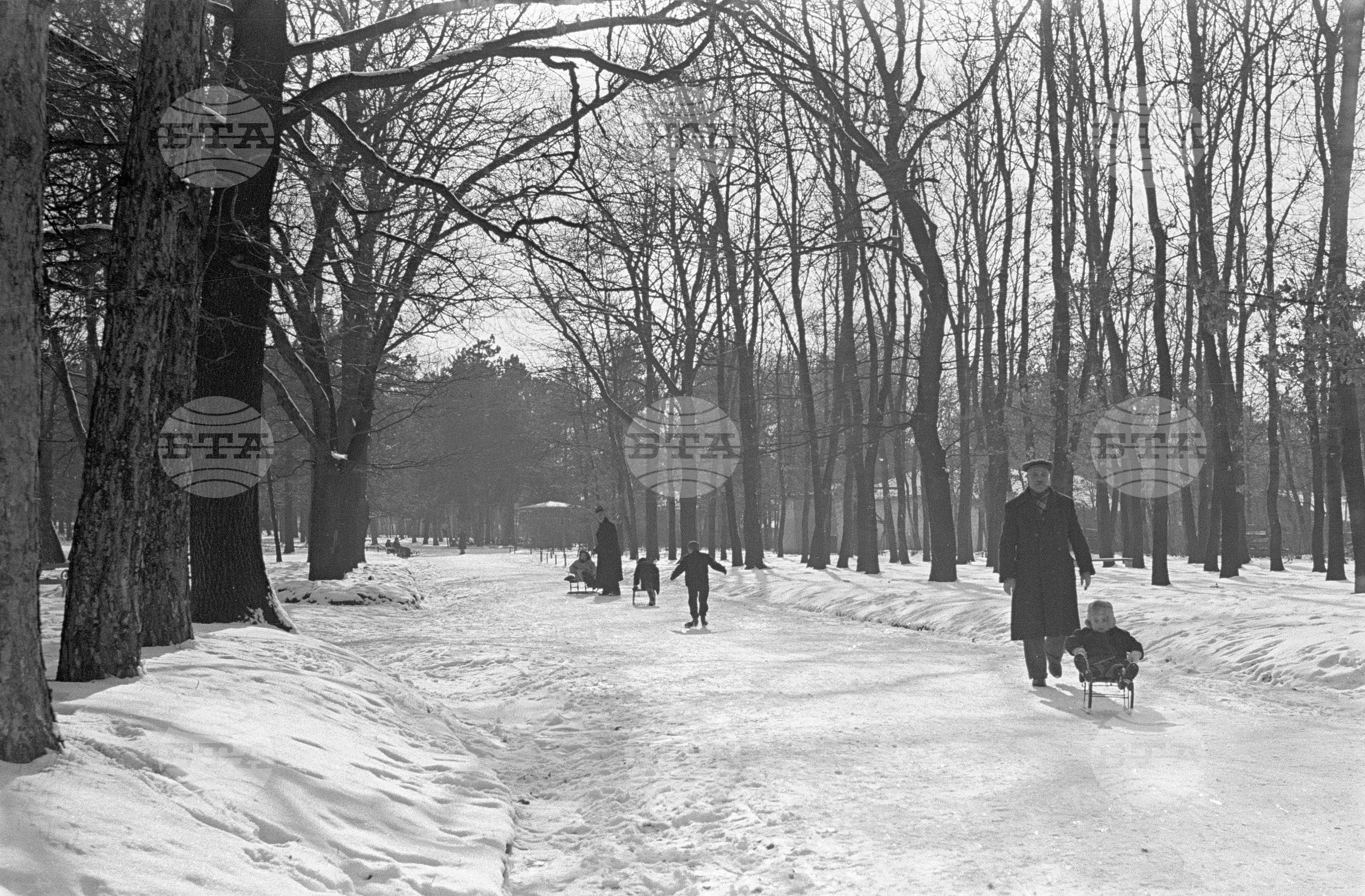 Зимни пейзажи от Парка на свободата в София - 1953 година