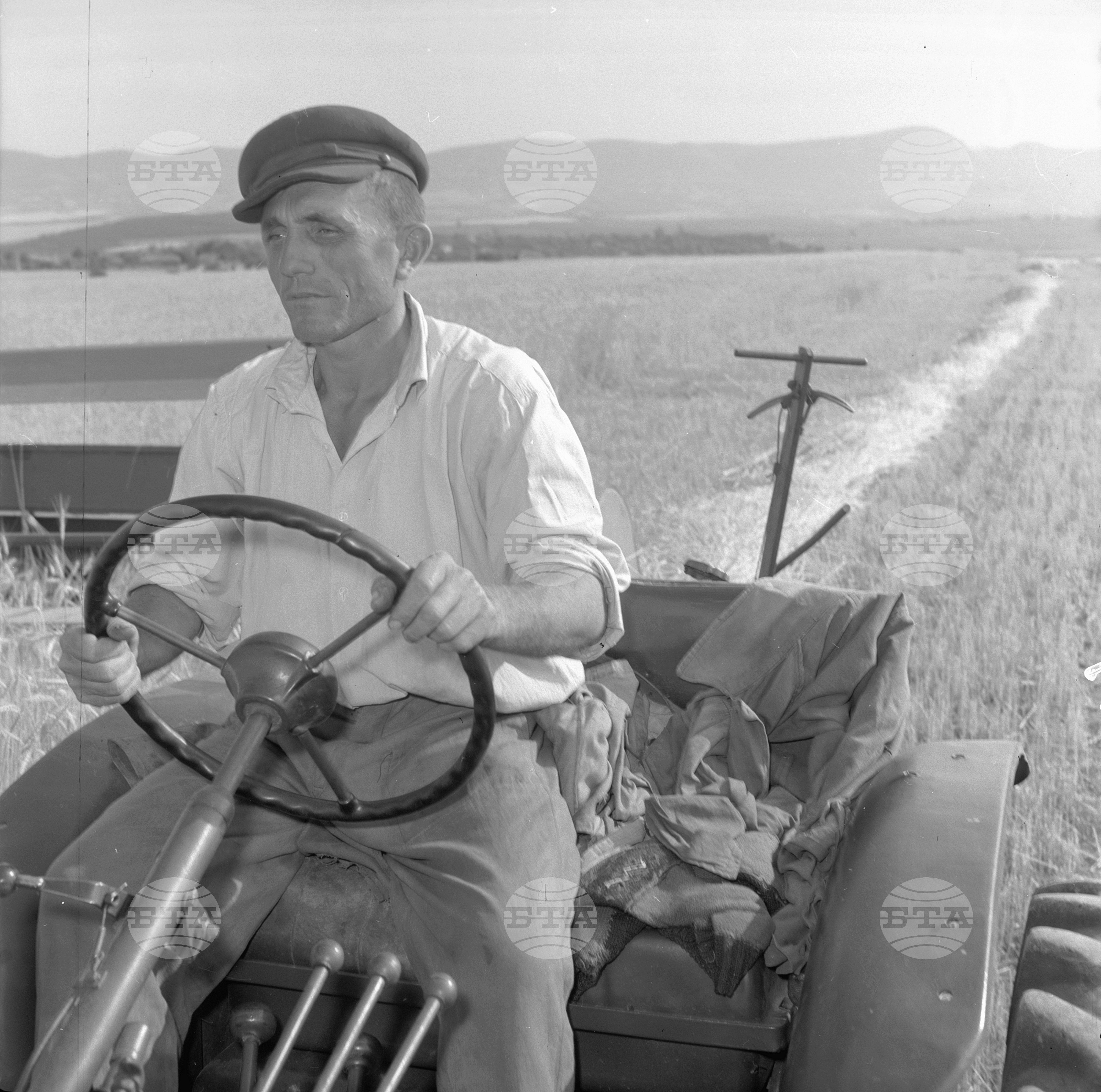 Жътвени дни във Врачански окръг - 1963