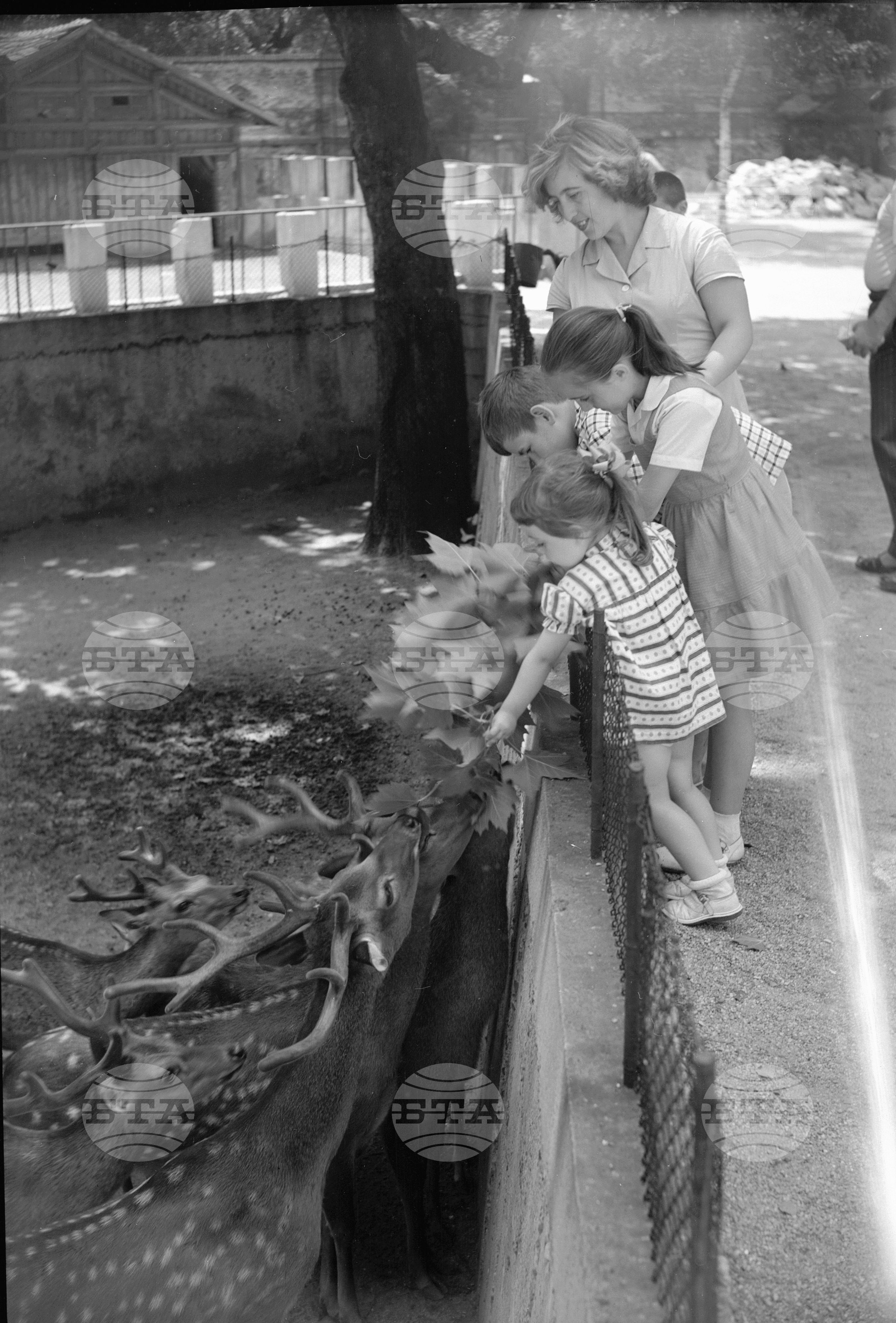 Зоологическа градина София - 1962 година
