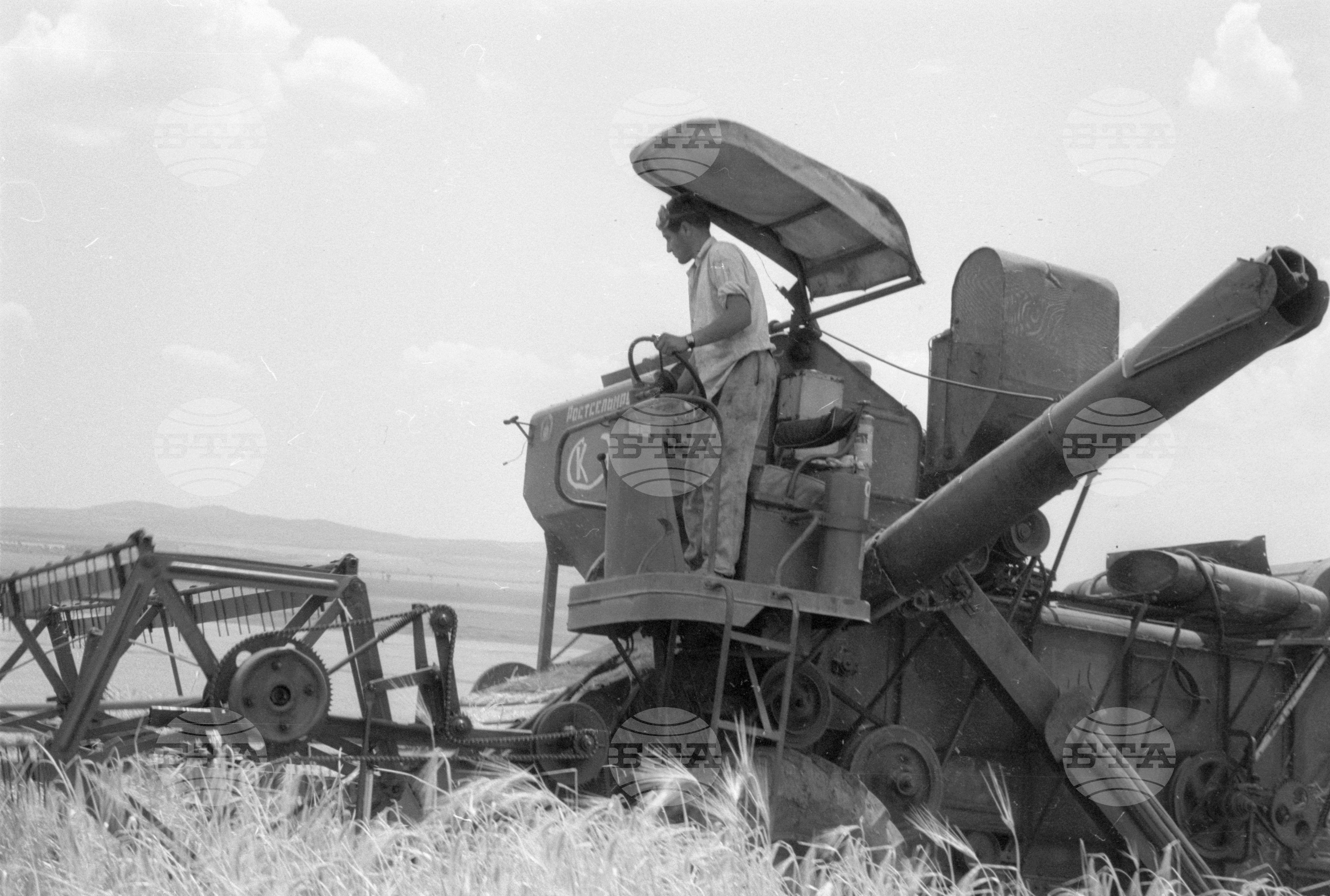Жътва 1963 година