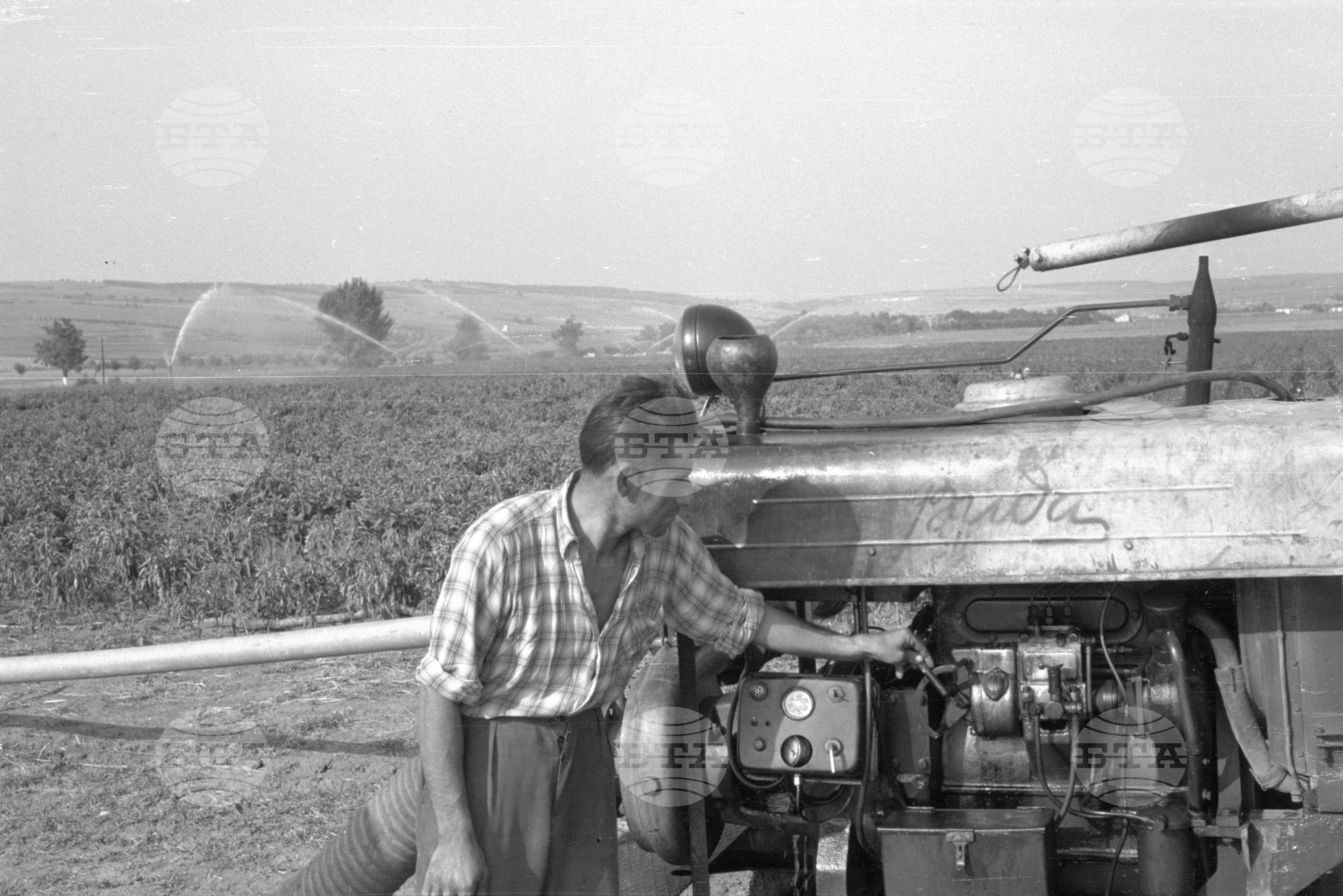 Из Видински окръг 1963 година