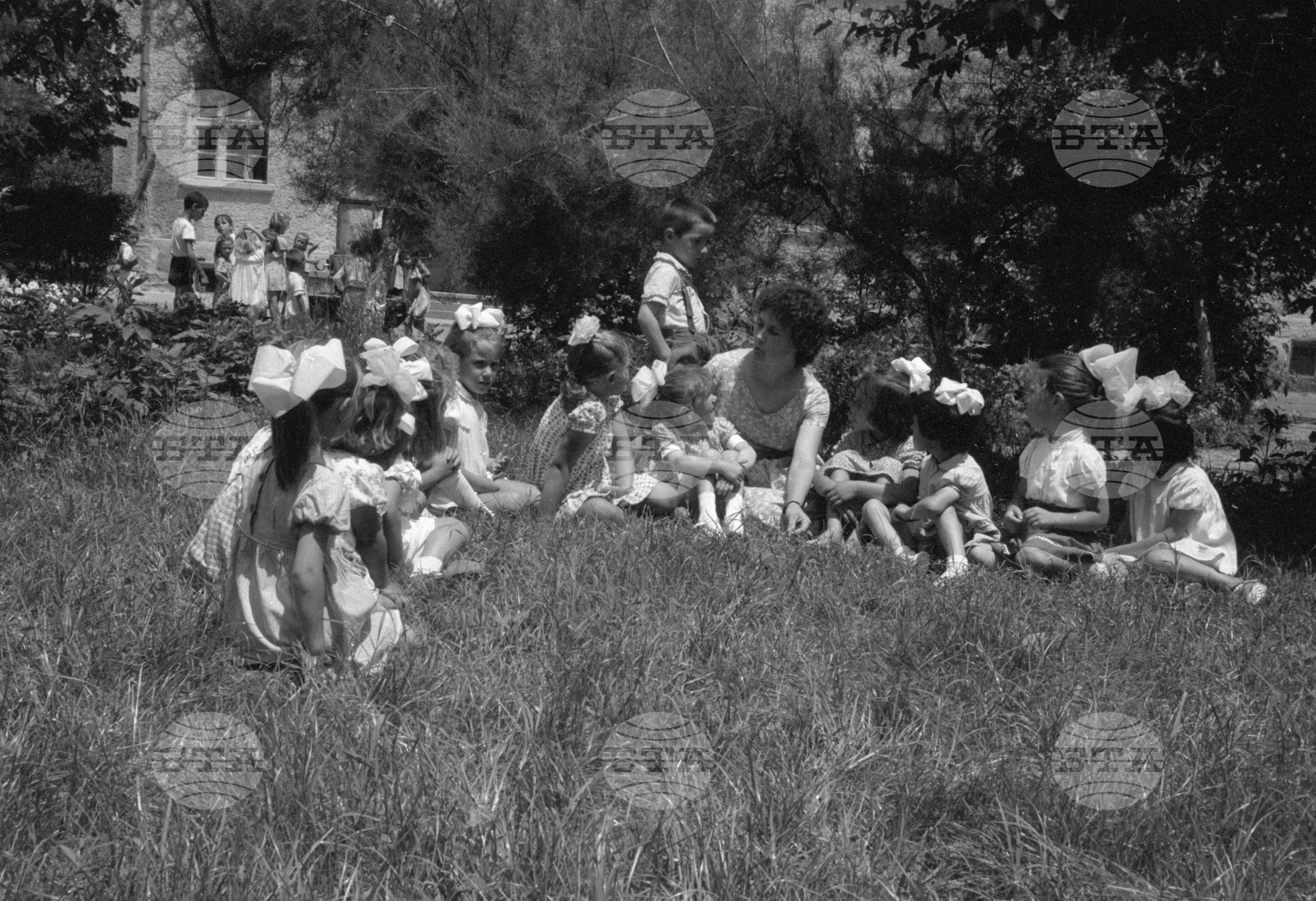 Жътва 1963 година