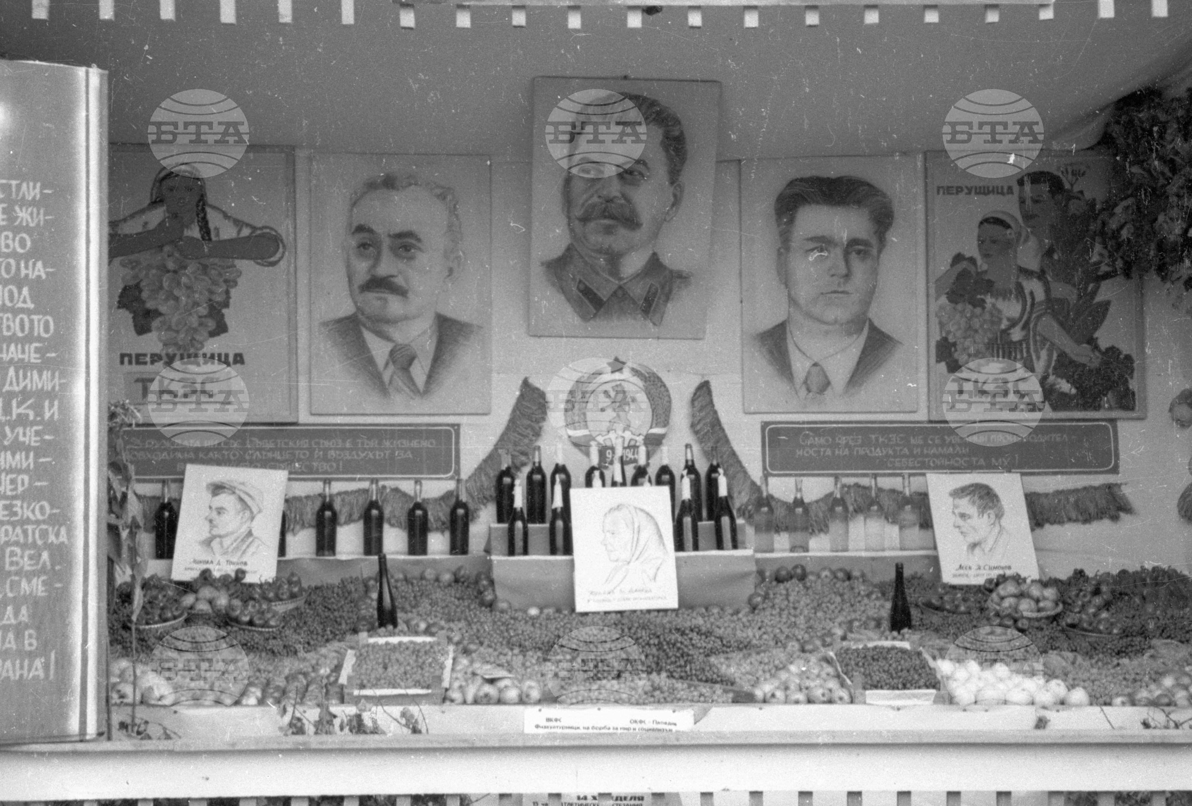Селскостопанска изложба в Левскиград (дн. Карлово), 1951