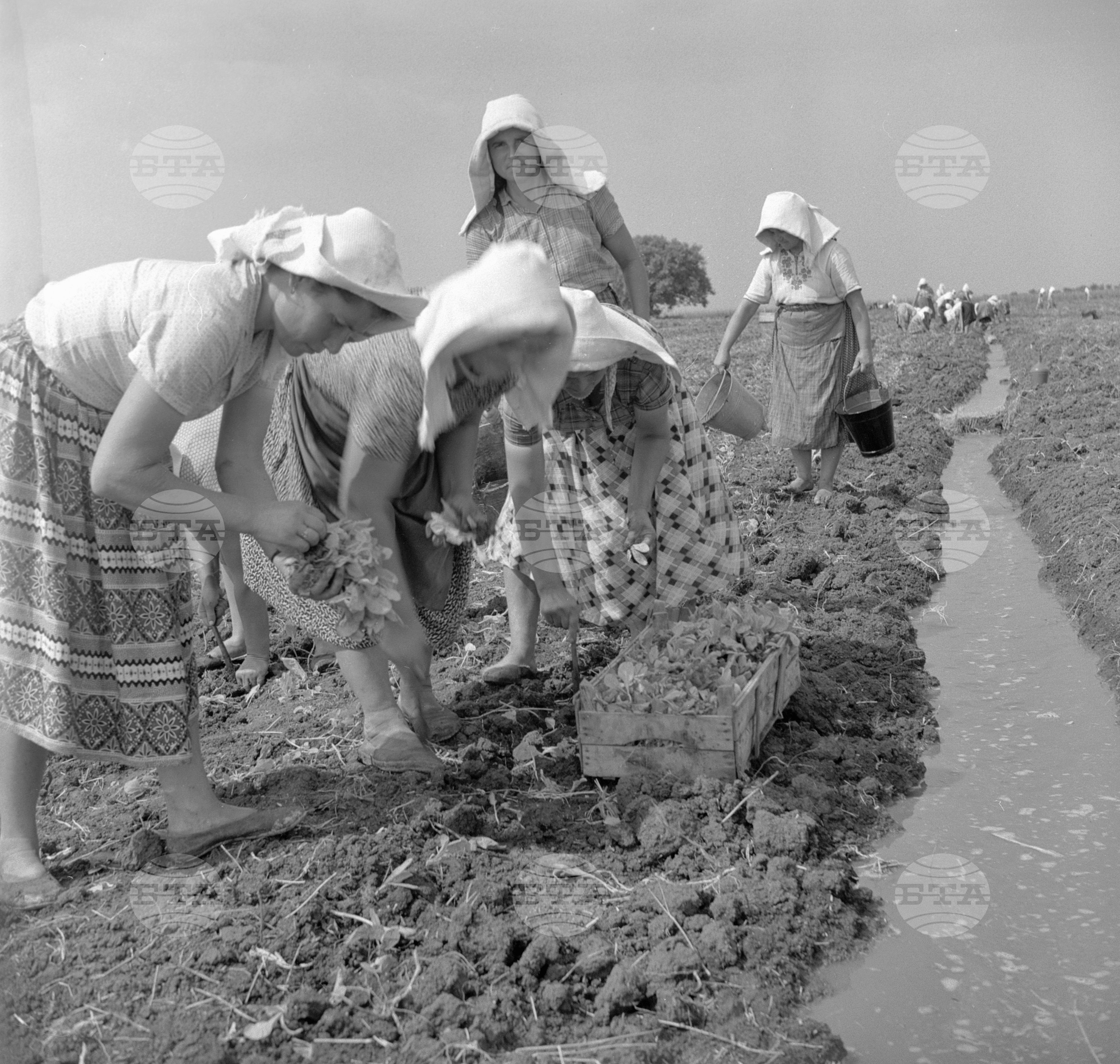 Из ТКЗС село Любенова махала, Сливенския окръг