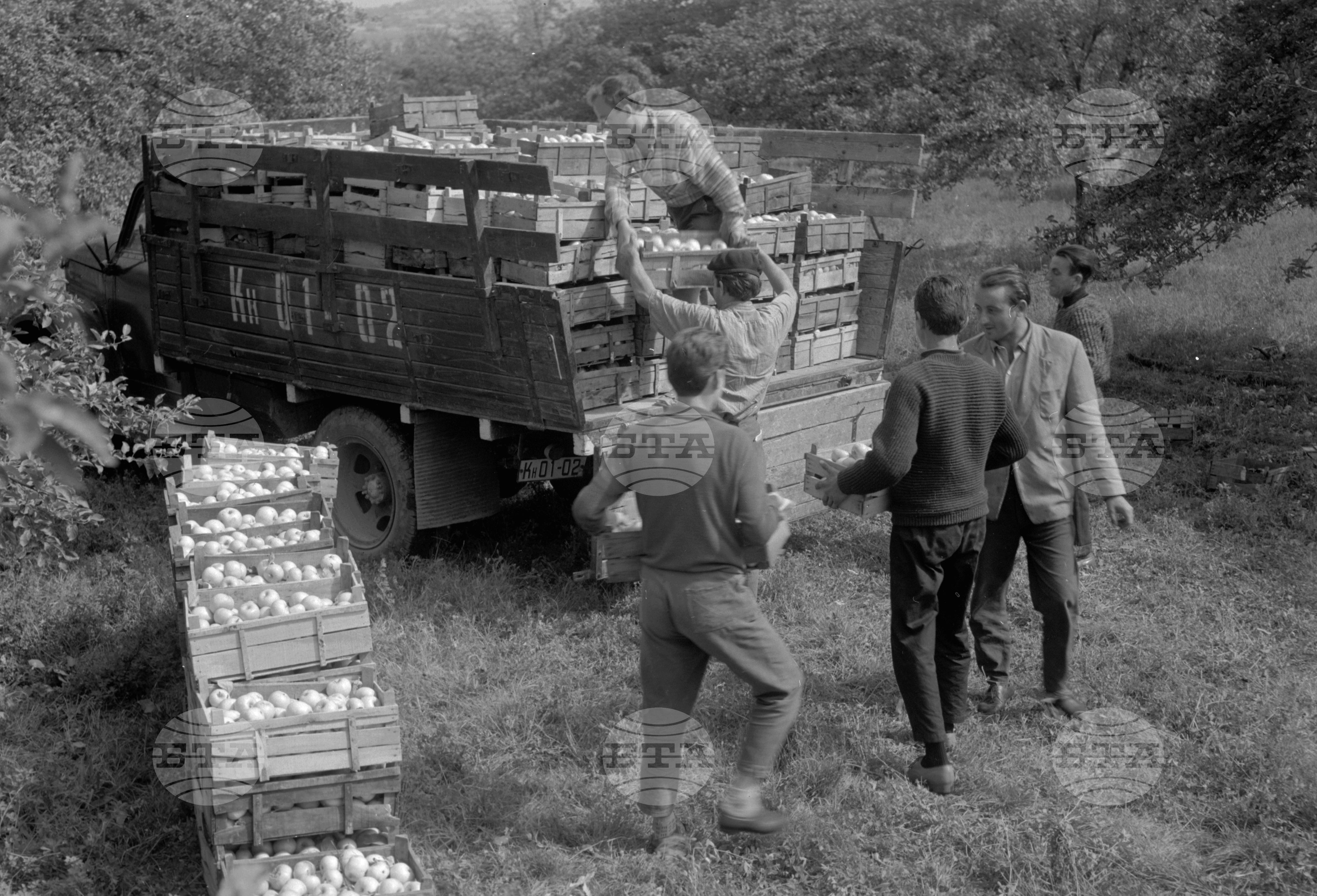 Из Кюстендилски окръг - септември 1962 година