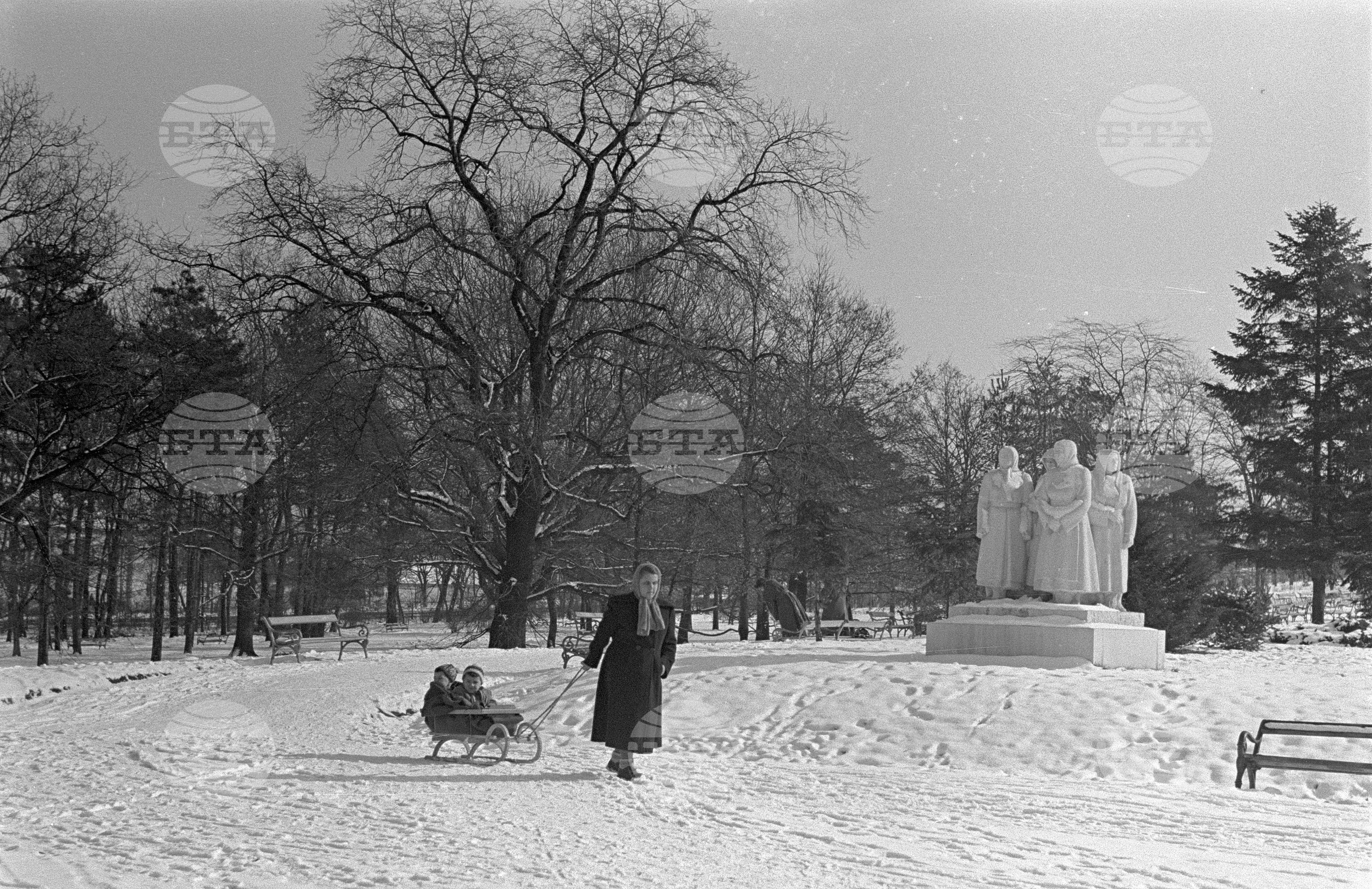 Зимни пейзажи от Парка на свободата в София - 1953 година