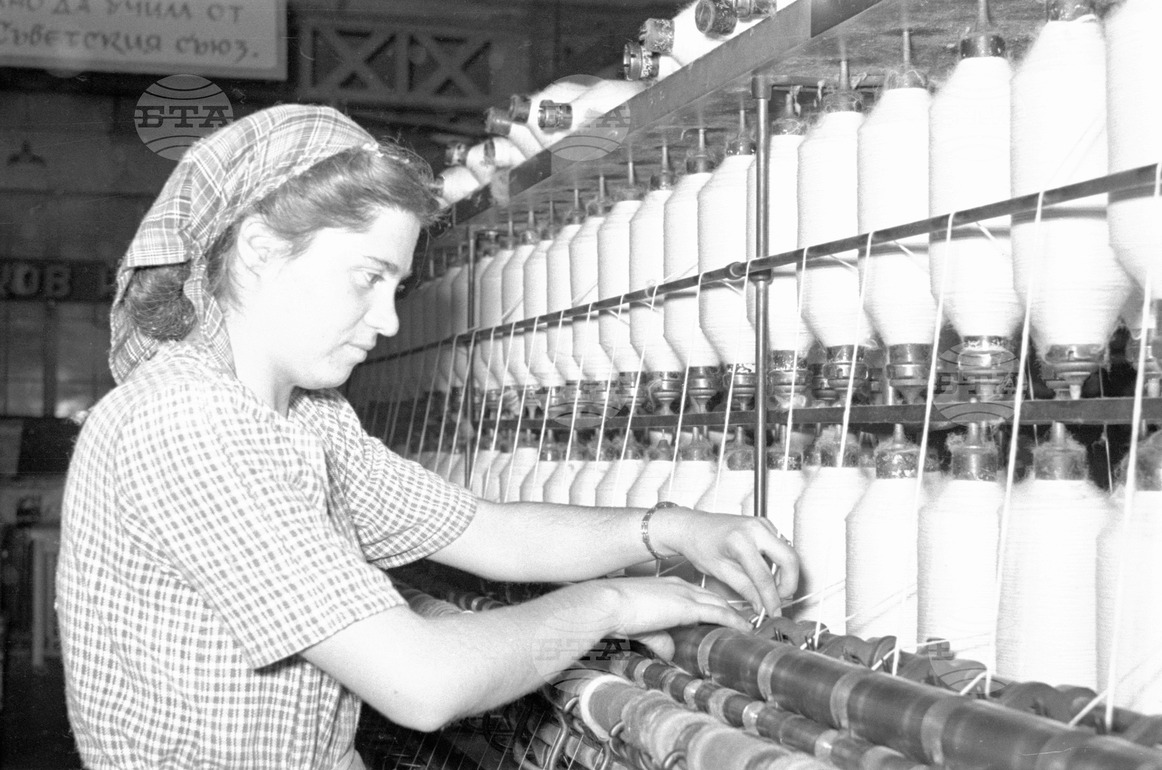 Предачна фабрика „България" - 1953 година