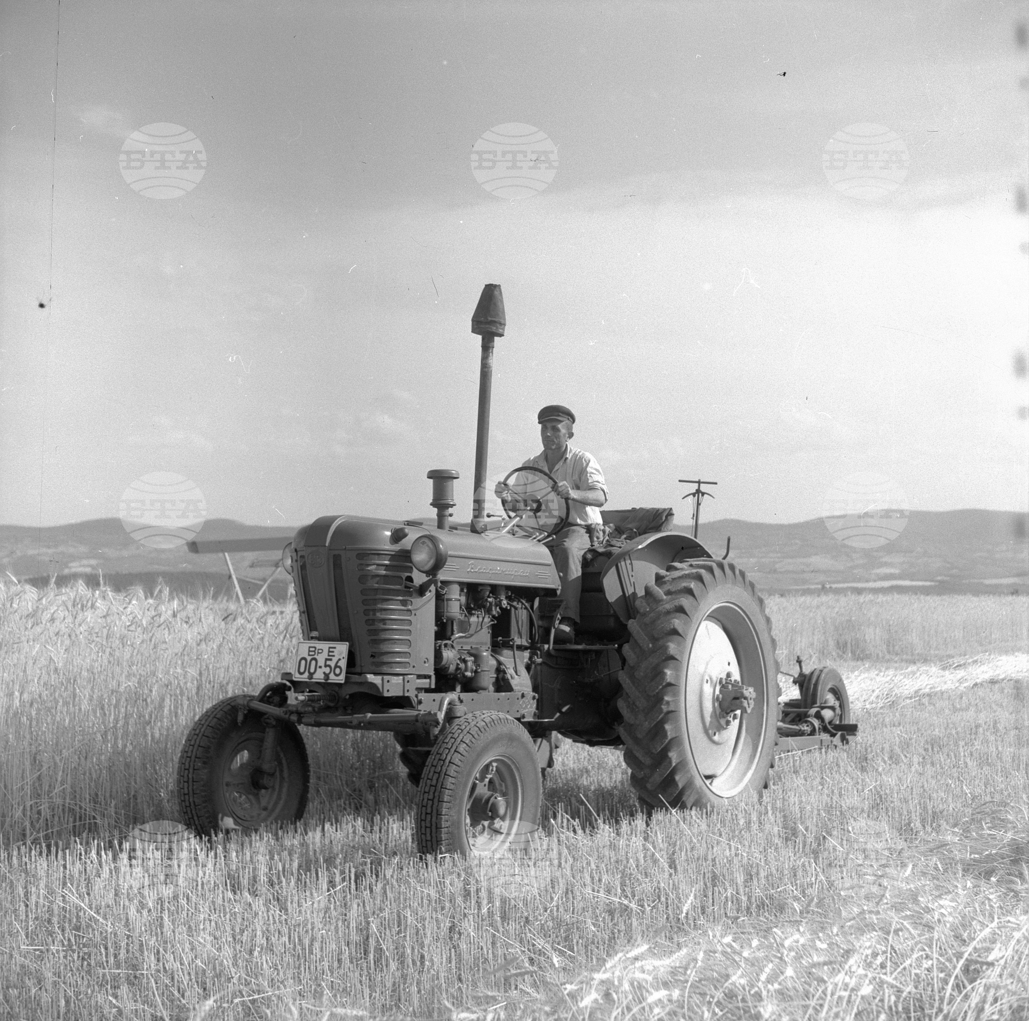 Жътвени дни във Врачански окръг - 1963