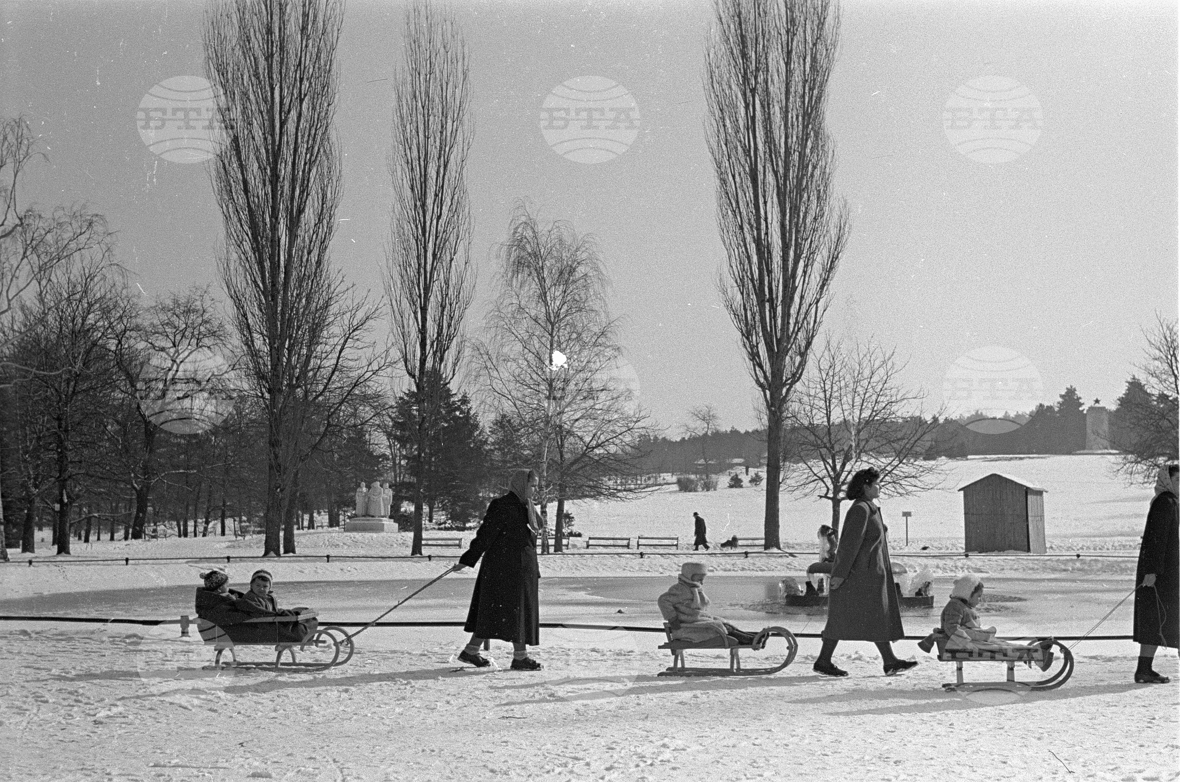 Зимни пейзажи от Парка на свободата в София - 1953 година