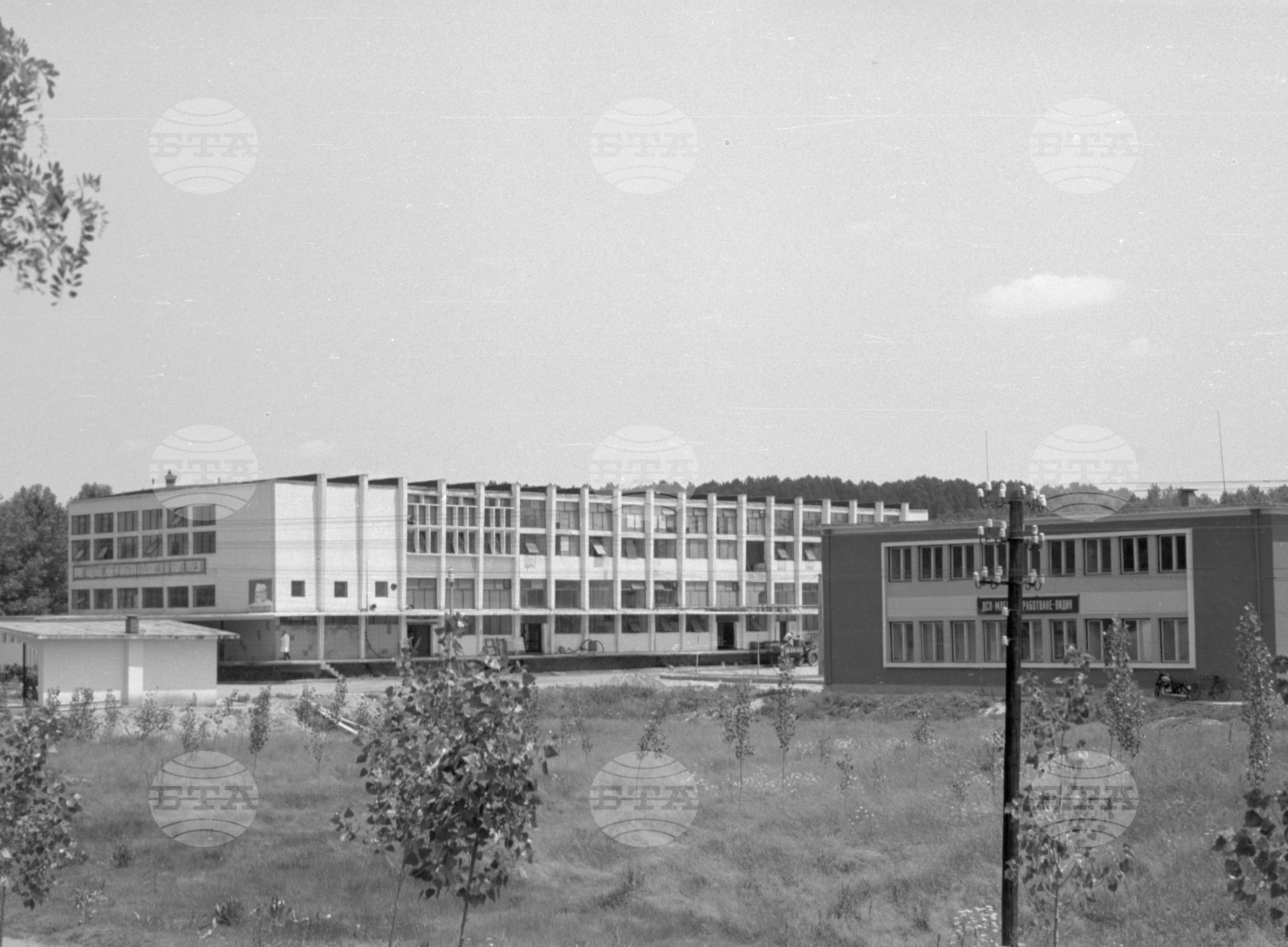 Снимки от Видински окръг - 1963
