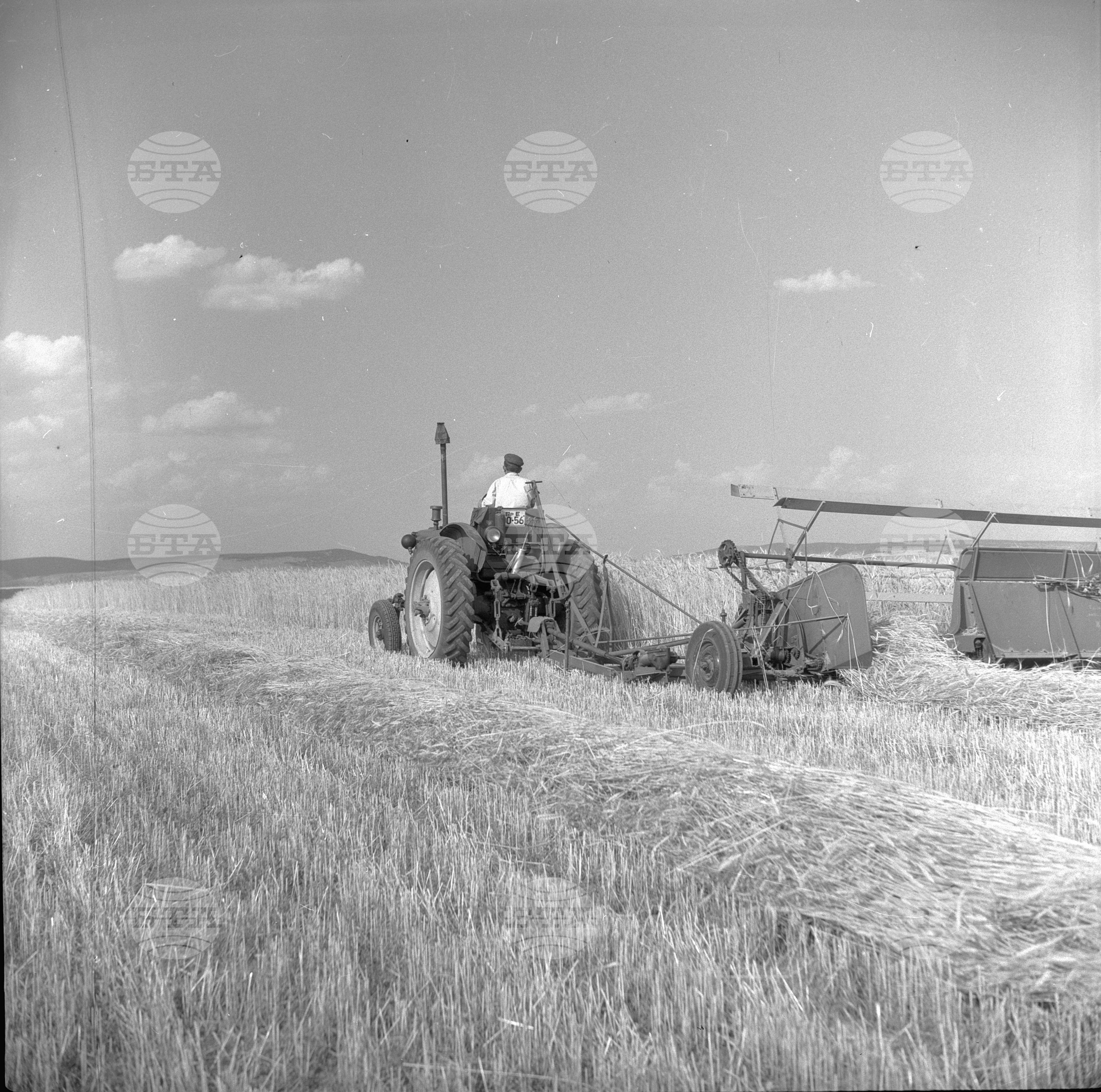 Жътвени дни във Врачански окръг - 1963