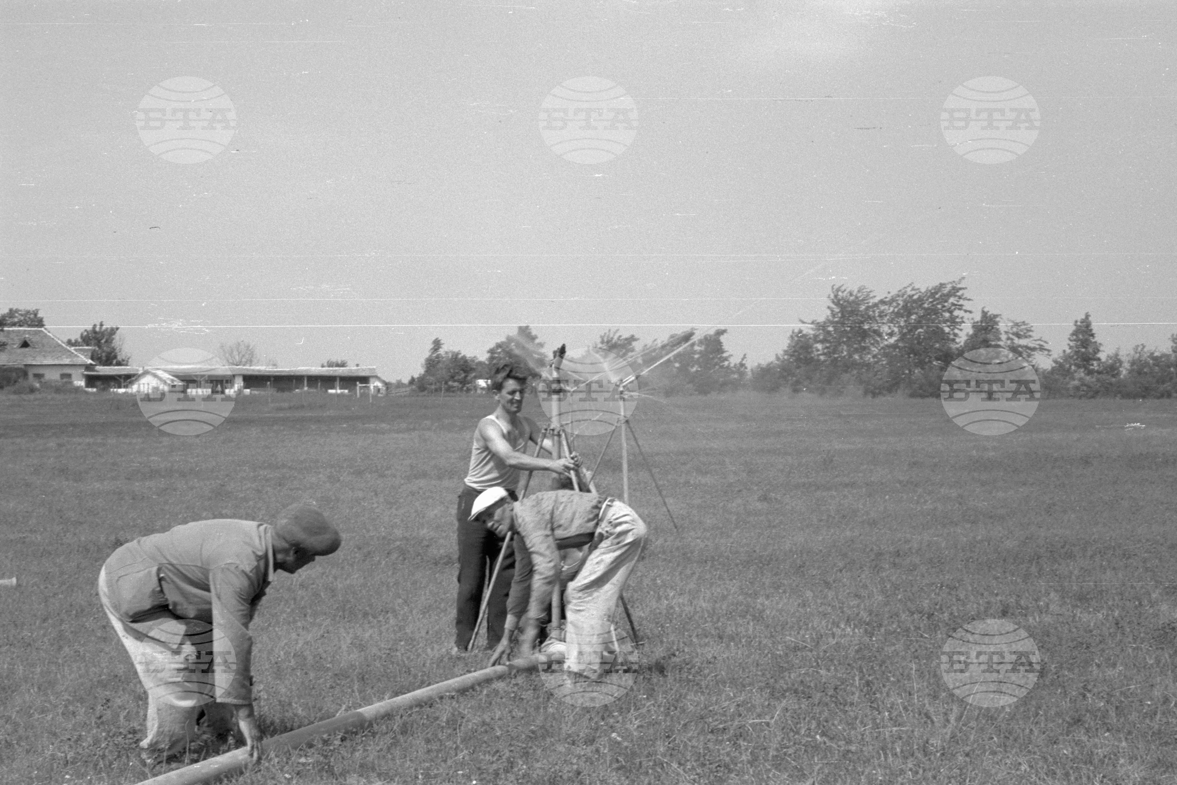 Из Видински окръг 1963 година