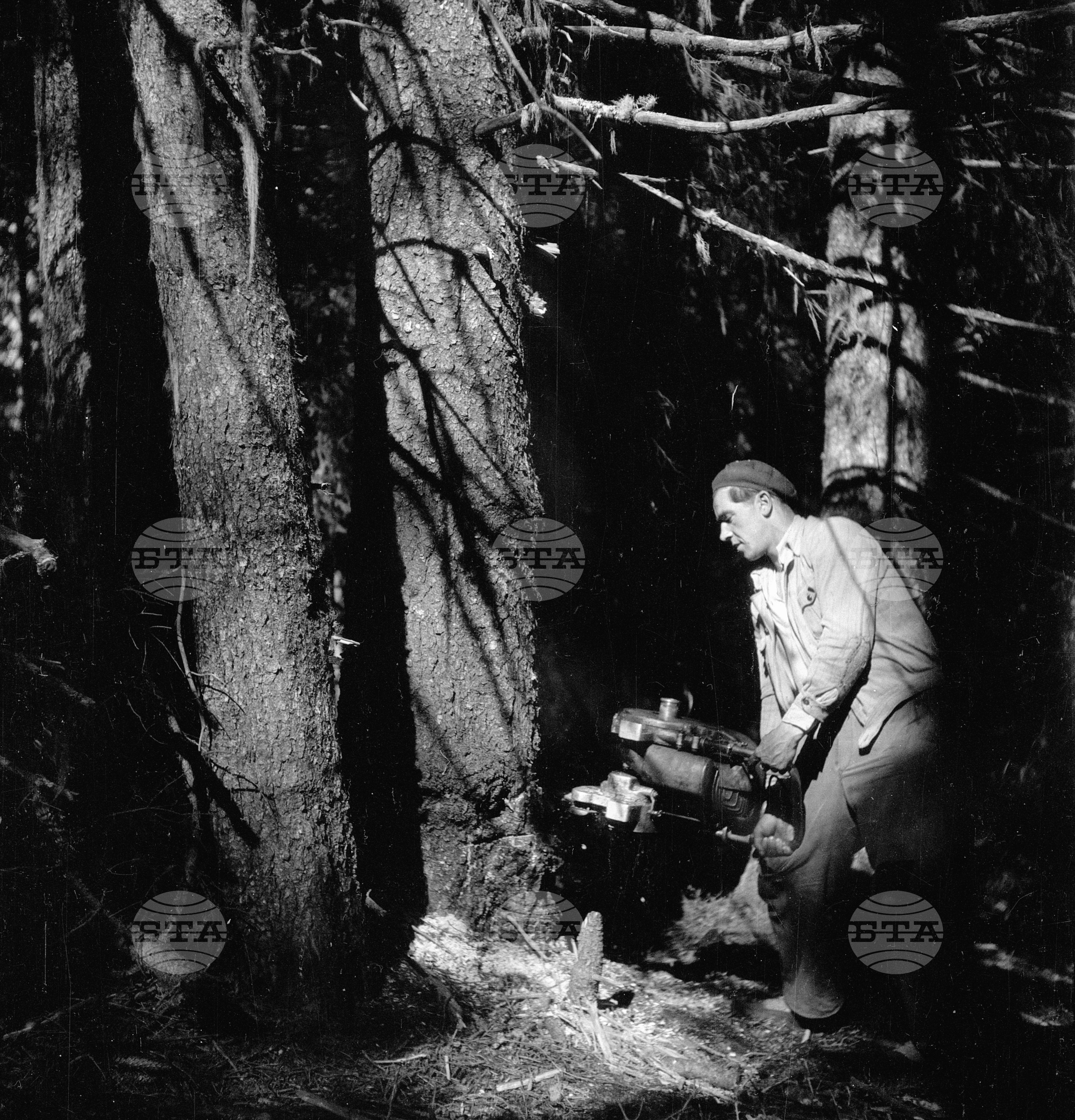 Дърводобив в държавни горски стопанства, 1951 - част 7