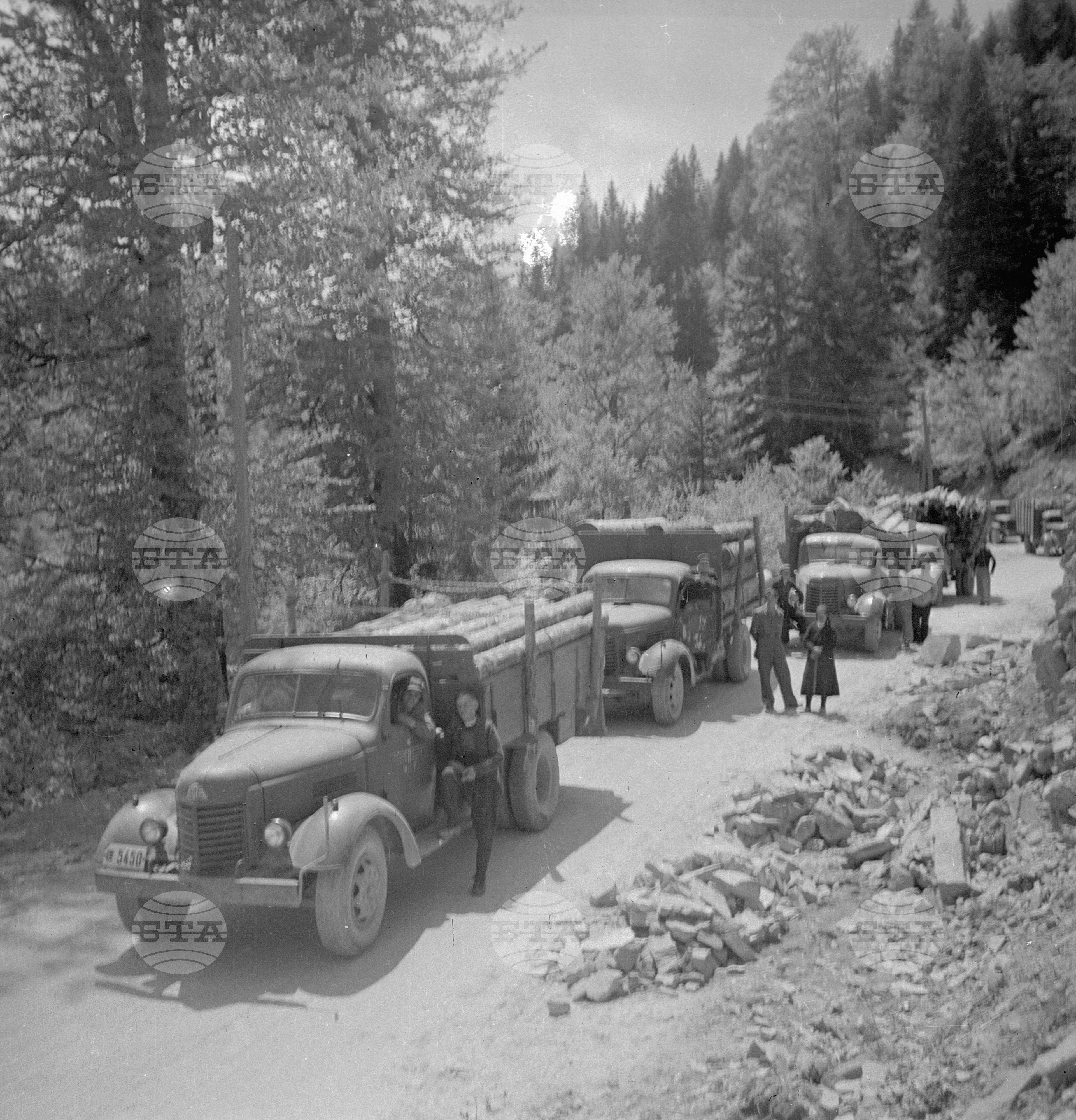 Дърводобив в държавни горски стопанства, 1951 - част 8