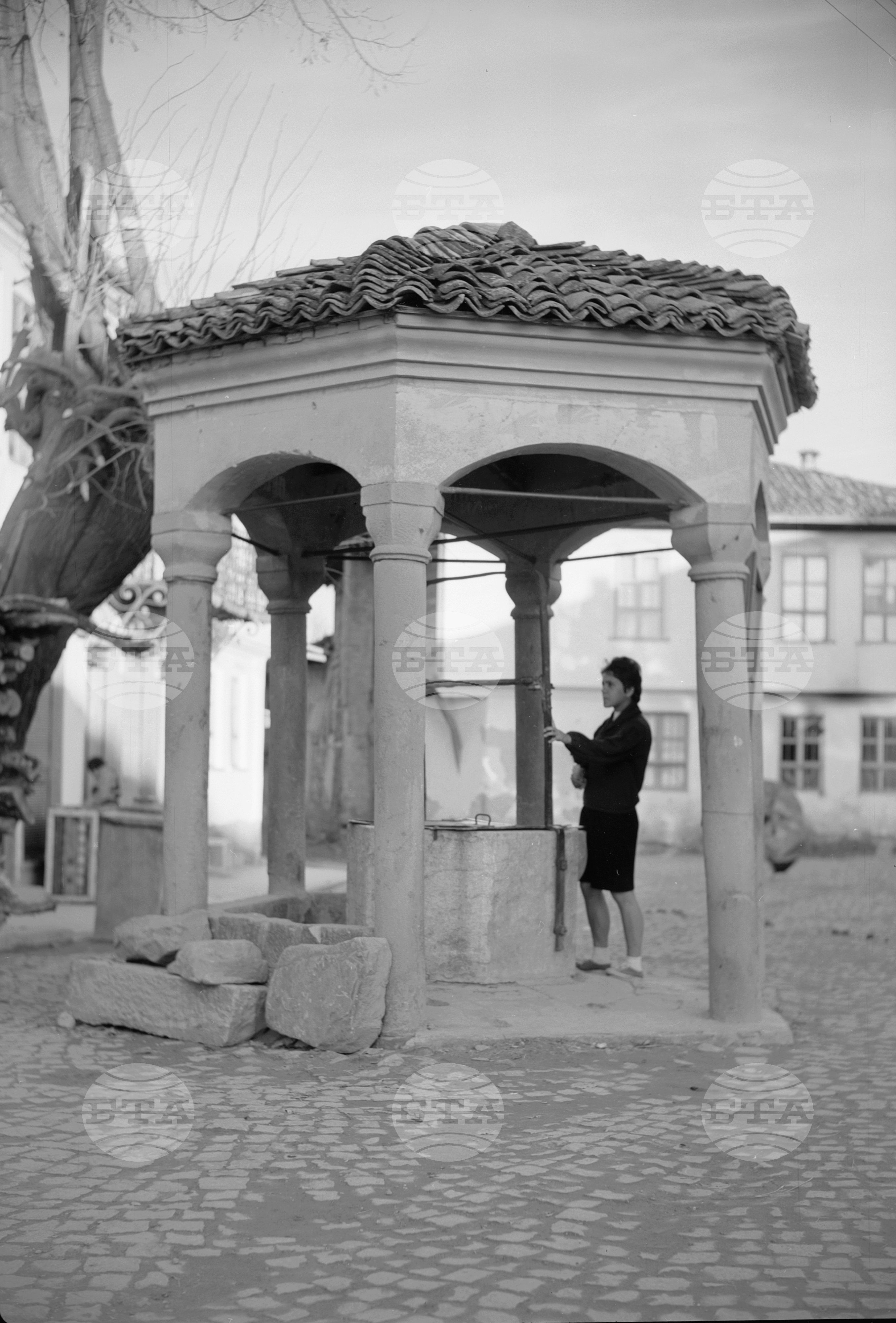 Град Елена в снимки