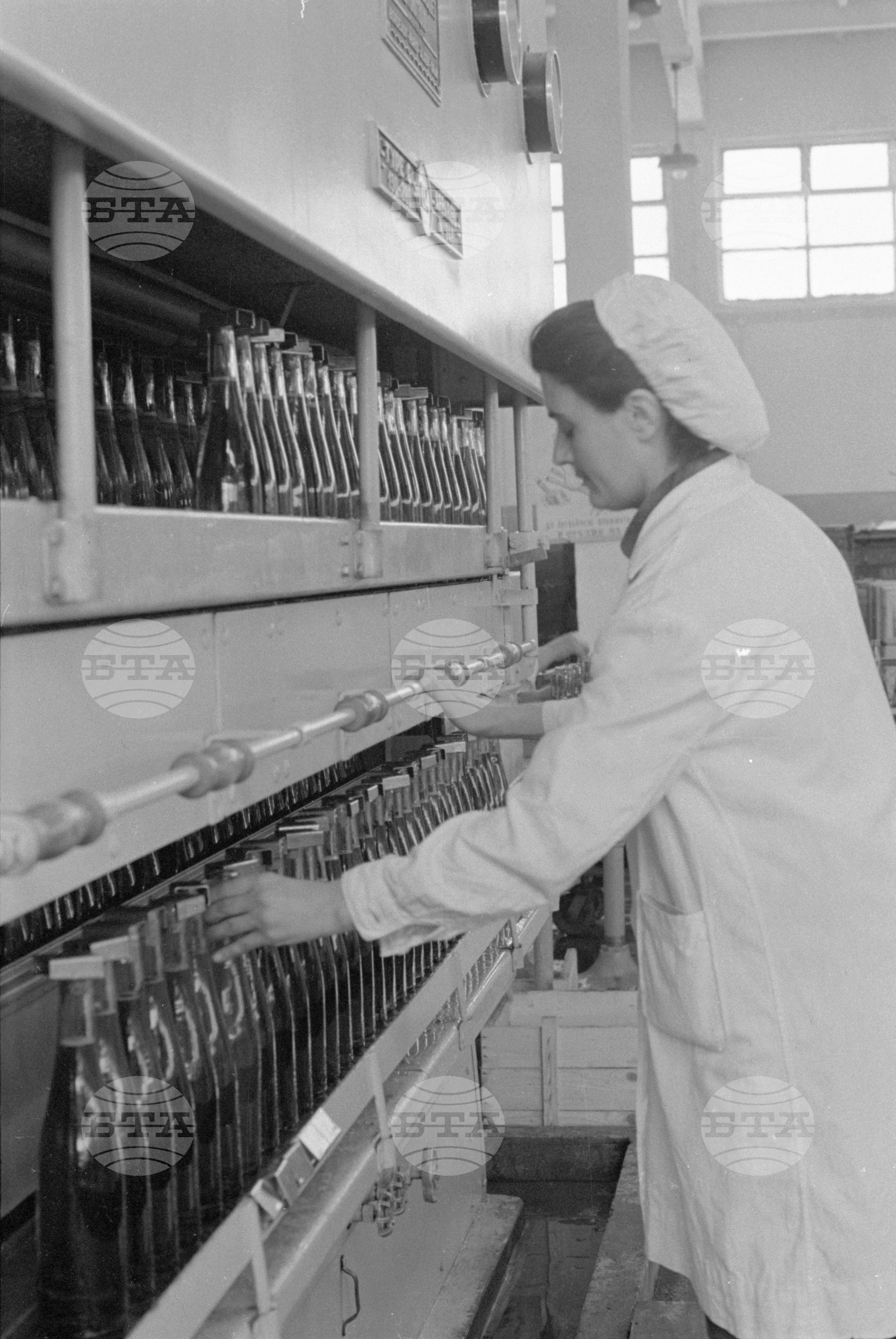 В завода за преработване и стабилизиране на вината край София-част 2