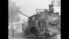 Кинохроника N 25 1980 г.