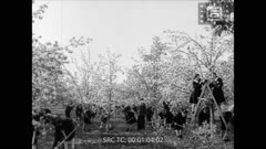 КИНОПРЕГЛЕД N 37-А 1945 г.