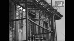 Кинохроника N 49 1978 г. Есенно море