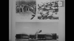 КИНОХРОНИКА N 18 1981 г. ЧОВЕКЪТ И АРХИТЕКТУРАТА
