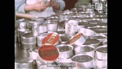 Кинохроника N 19 1980 г. Доброволката