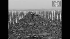 Кинопреглед април N 15 - 1967