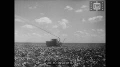 Кинопреглед N 478 1953 г.