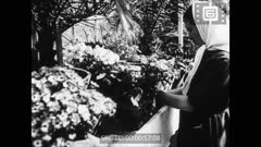 ОТЕЧЕСТВЕН КИНО ПРЕГЛЕД N 82 28 април 1946 г.