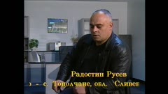 БРАЗДИ