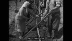 Кинопреглед N 398 1952 г.