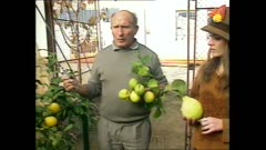 ЦВЕТЕН МАГАЗИН