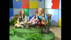 ВСИЧКИ ПРЕД ЕКРАНА