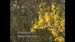 ЧАСТЕН СЛУЧАЙ