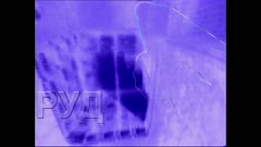 ЗА ГЛУХИТЕ-АРХИВ