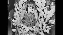Кинопреглед N 35 1966