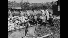 ПРЕГЛЕД 69 1942 г.